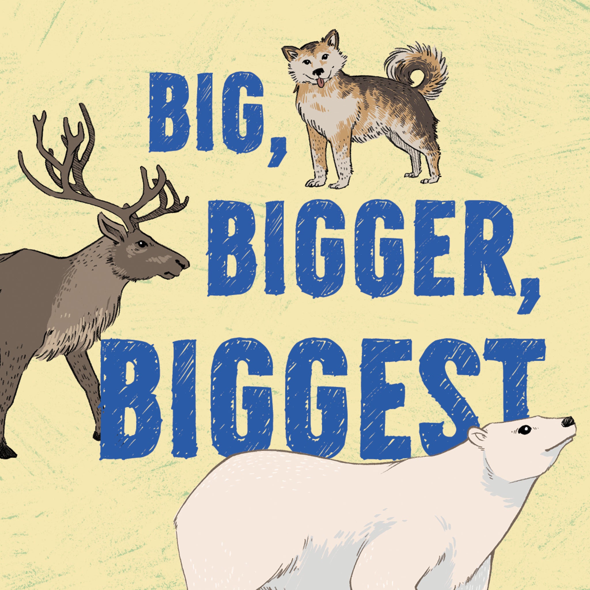 Cover image for Big, Bigger, Biggest ISBN 9780228702436