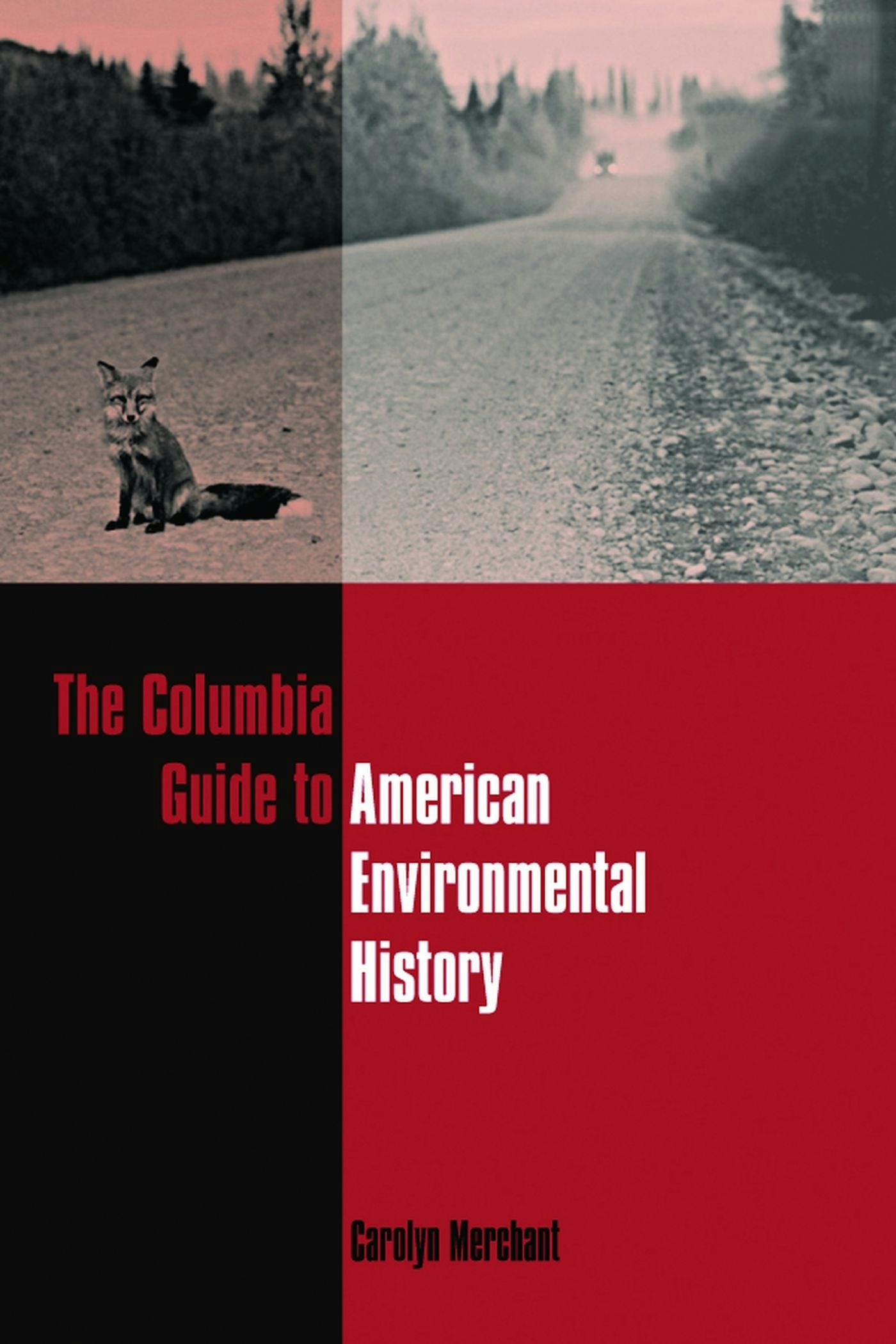 Book cover image for The Columbia Guide to American Environmental History ISBN: 9780231112338