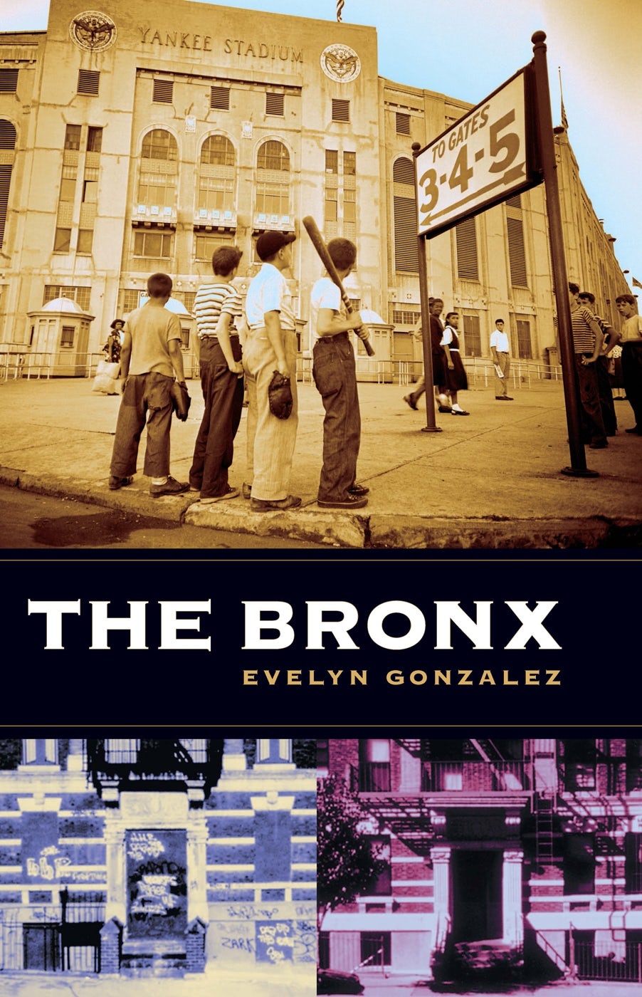 Book cover image for The Bronx ISBN: 9780231121156