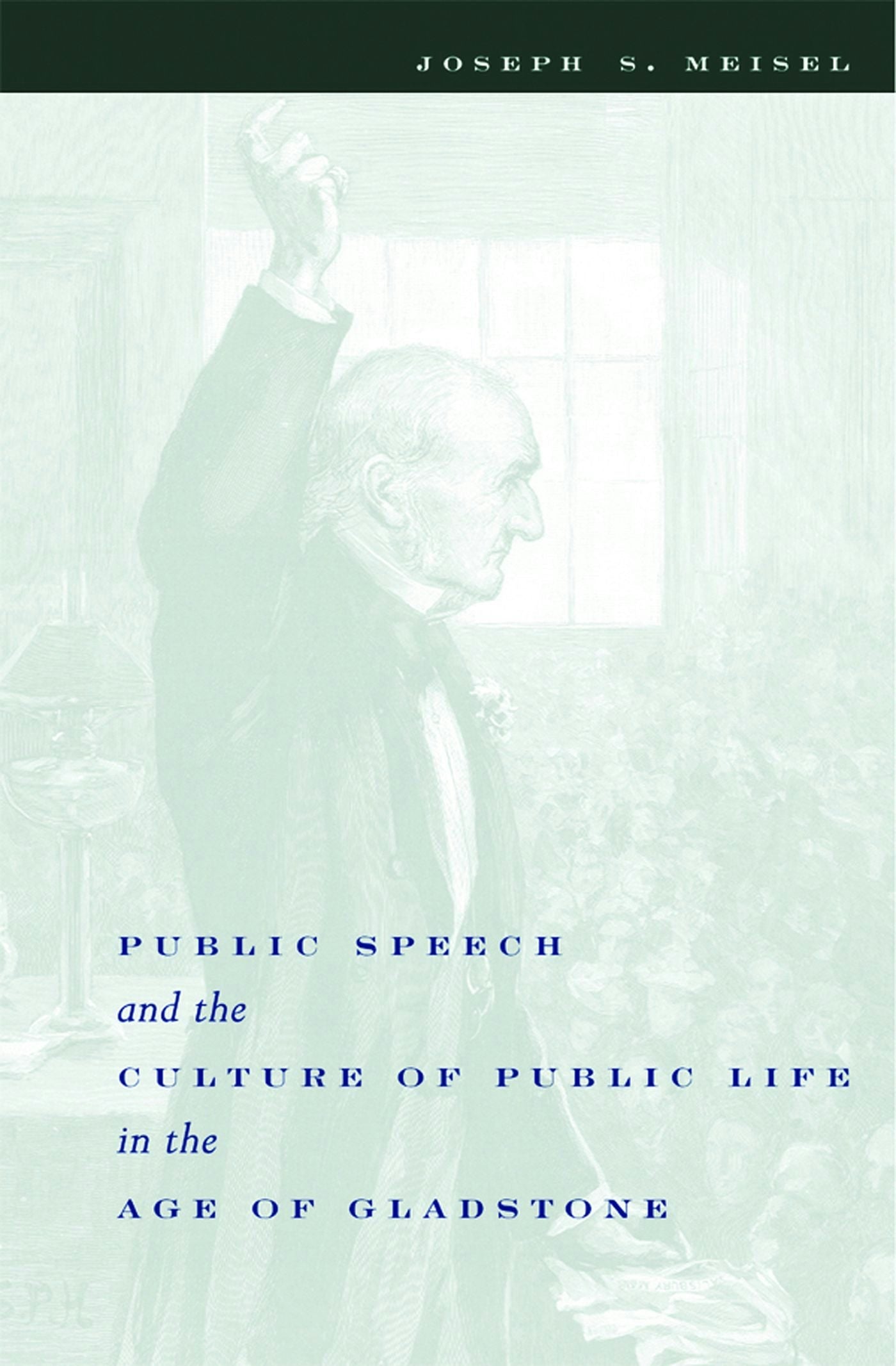 Book cover image for Public Speech and the Culture of Public Life in the Age of Gladstone ISBN: 9780231121446
