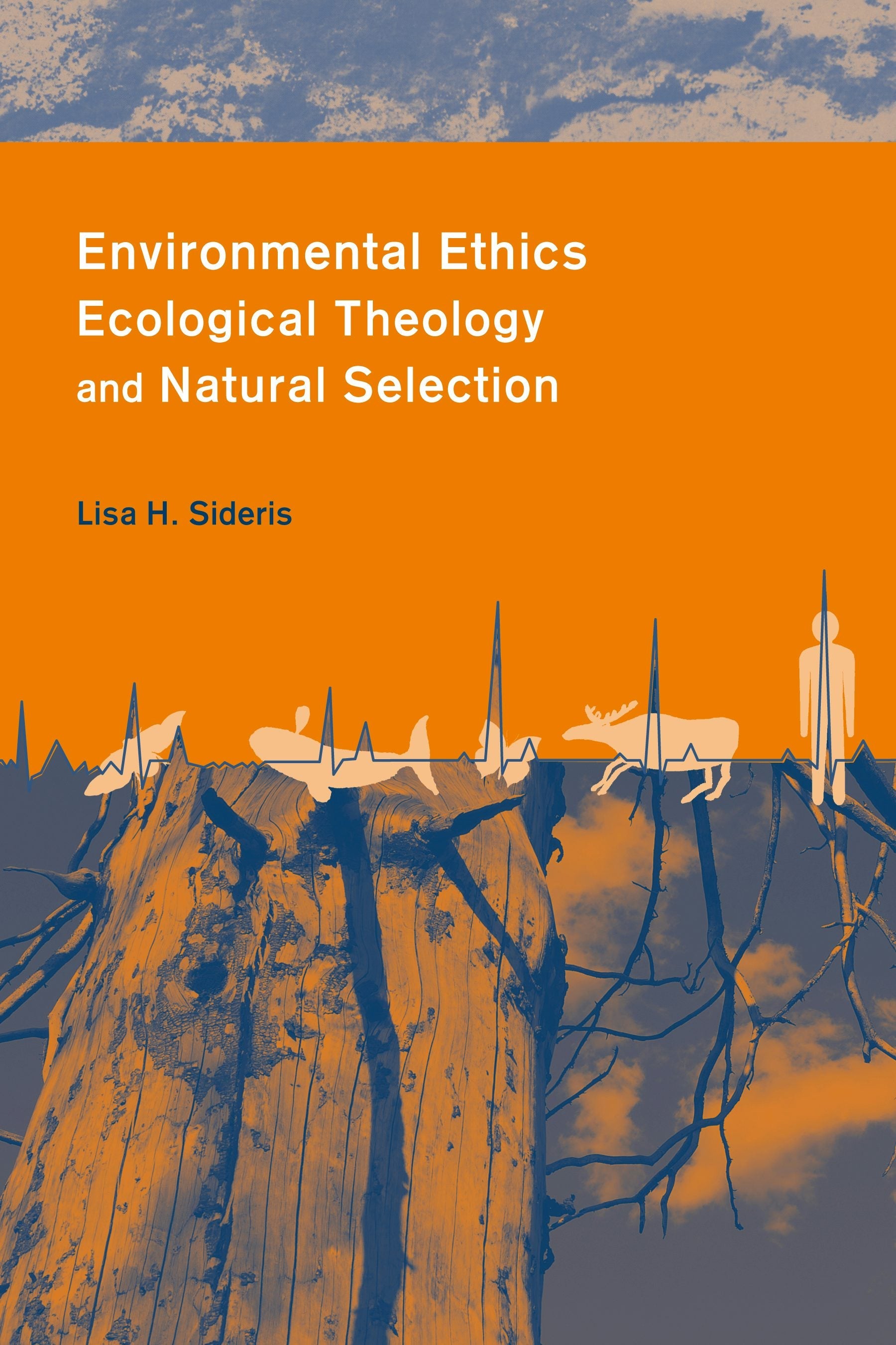 Book cover image for Environmental Ethics, Ecological Theology, and Natural Selection ISBN: 9780231126601