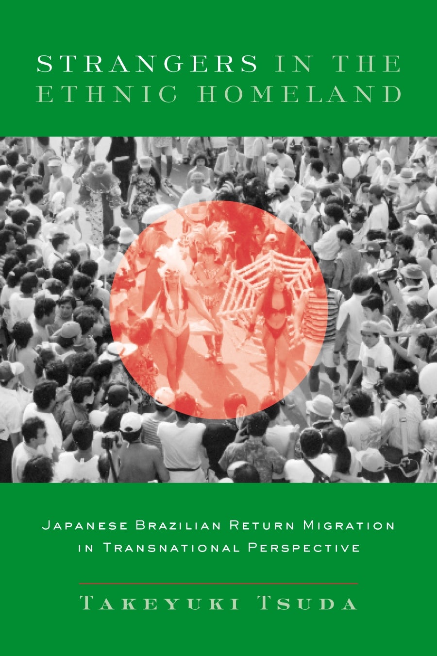 Book cover image for Strangers in the Ethnic Homeland ISBN: 9780231128384