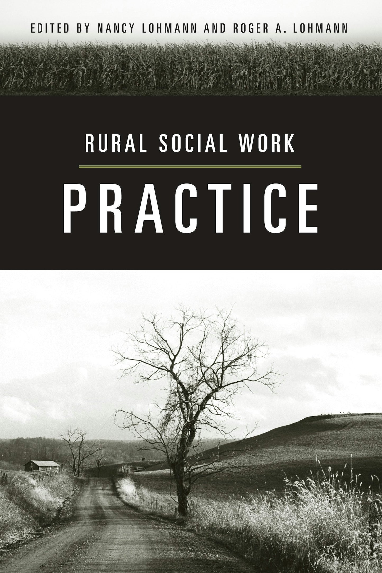 Book cover image for Rural Social Work Practice ISBN: 9780231129329