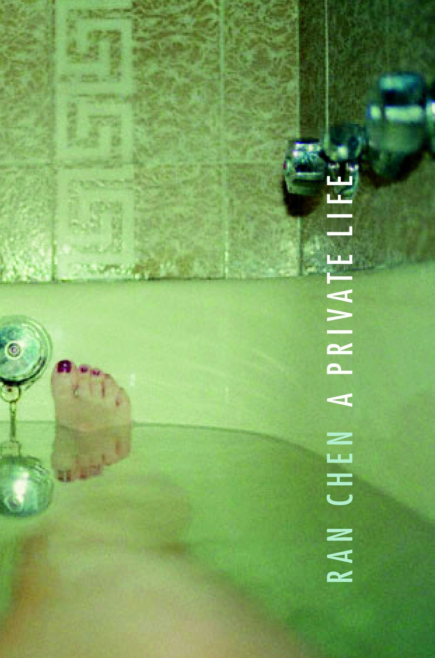 Book cover image for A Private Life ISBN: 9780231131964
