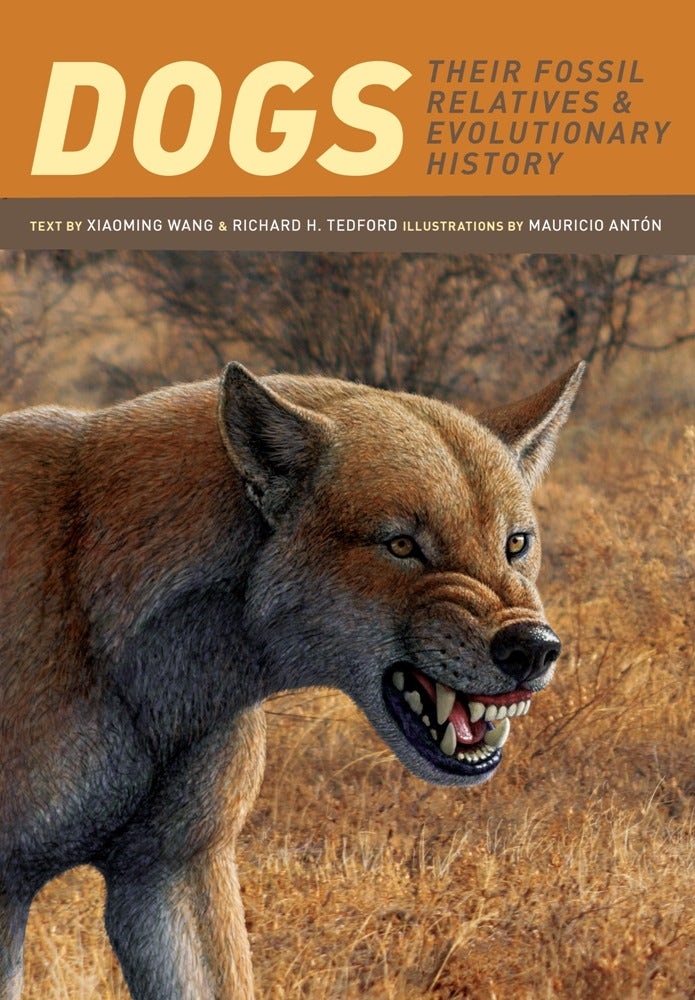 Book cover image for Dogs ISBN: 9780231135290