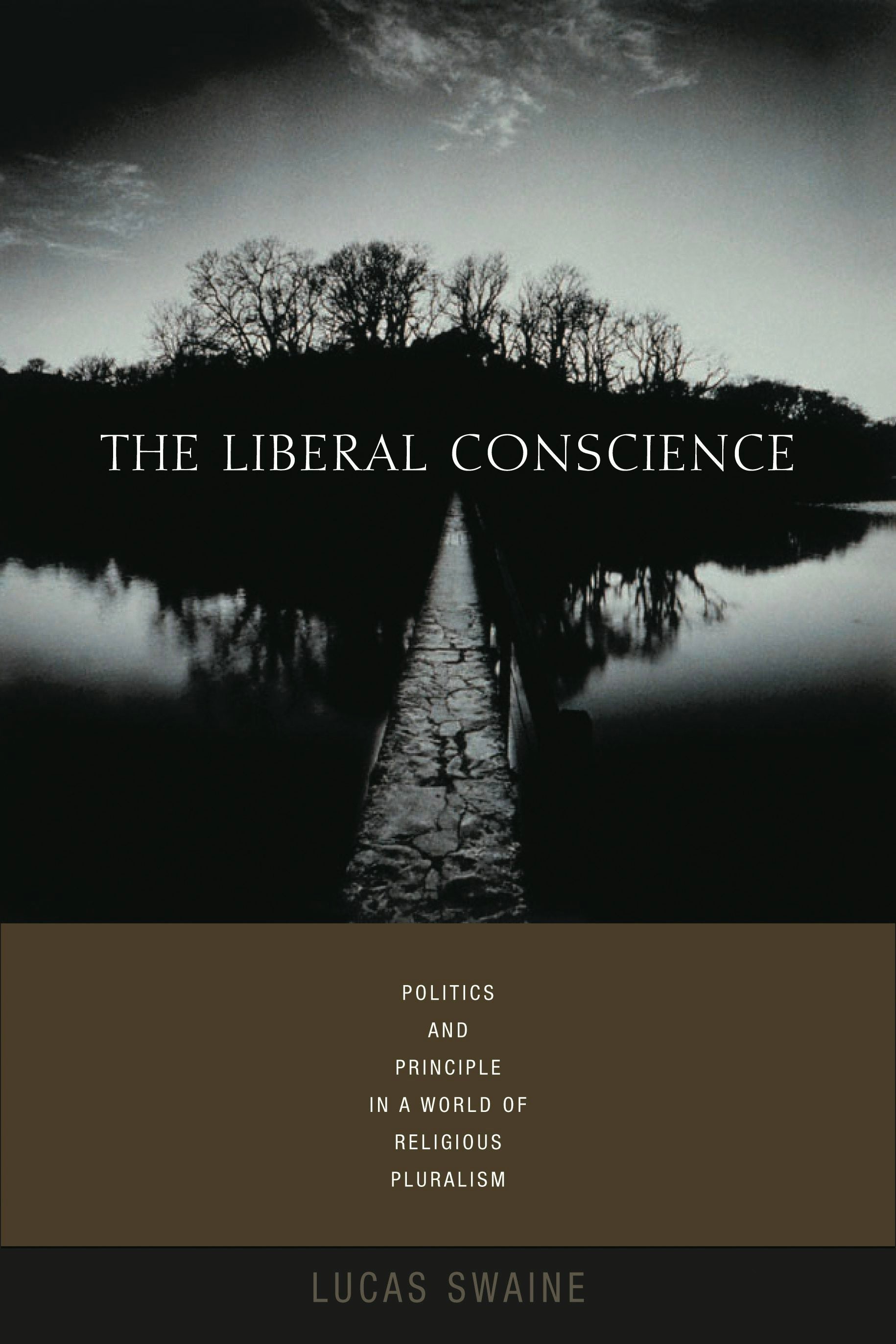 Book cover image for The Liberal Conscience ISBN: 9780231136044