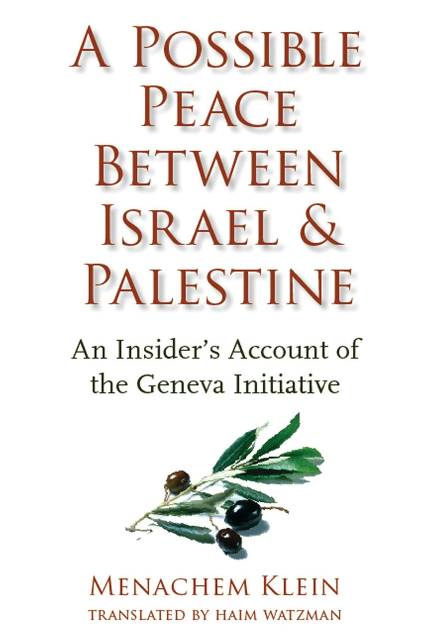 Book cover image for A Possible Peace Between Israel and Palestine ISBN: 9780231139045