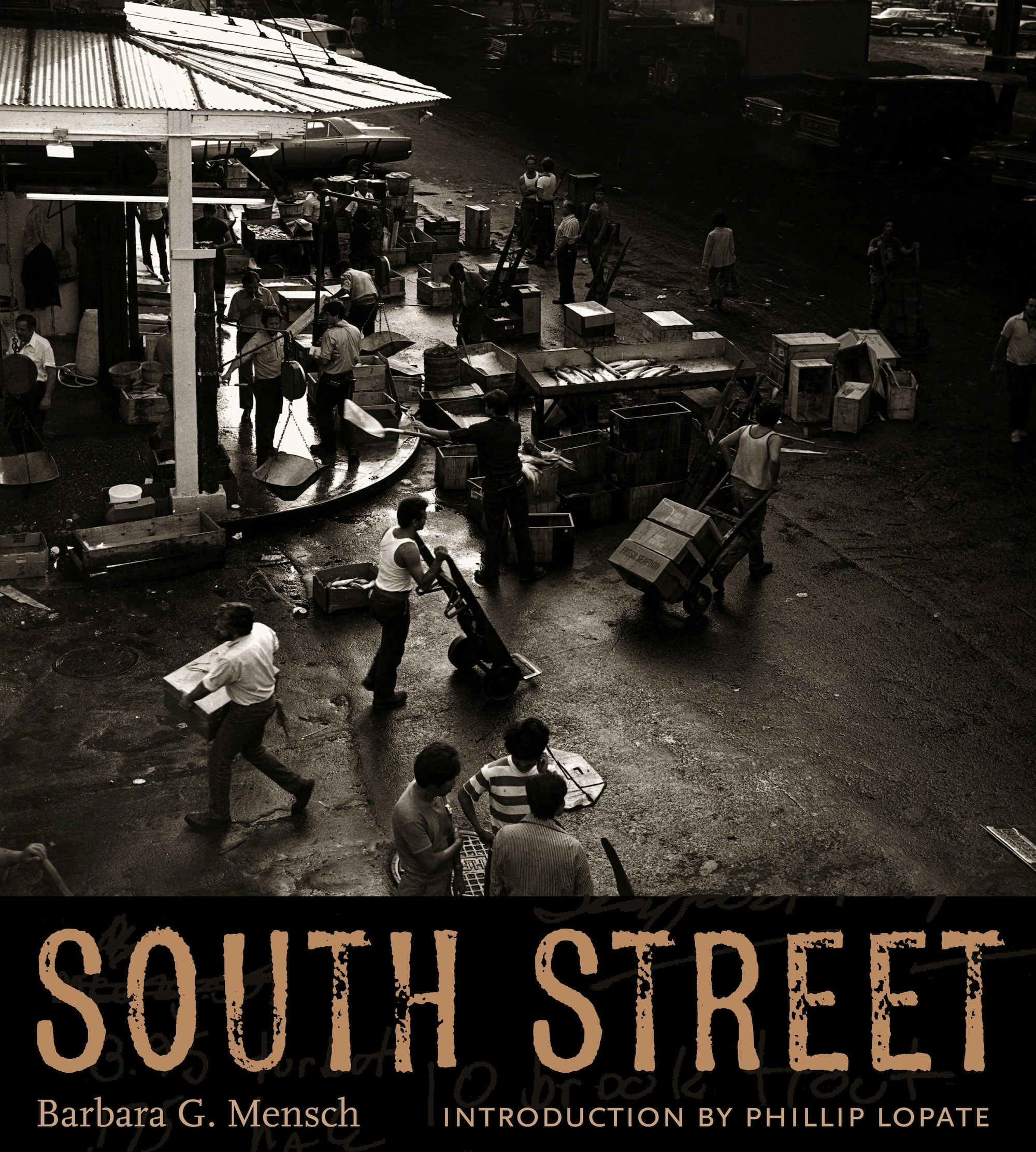 Book cover image for South Street ISBN: 9780231139335