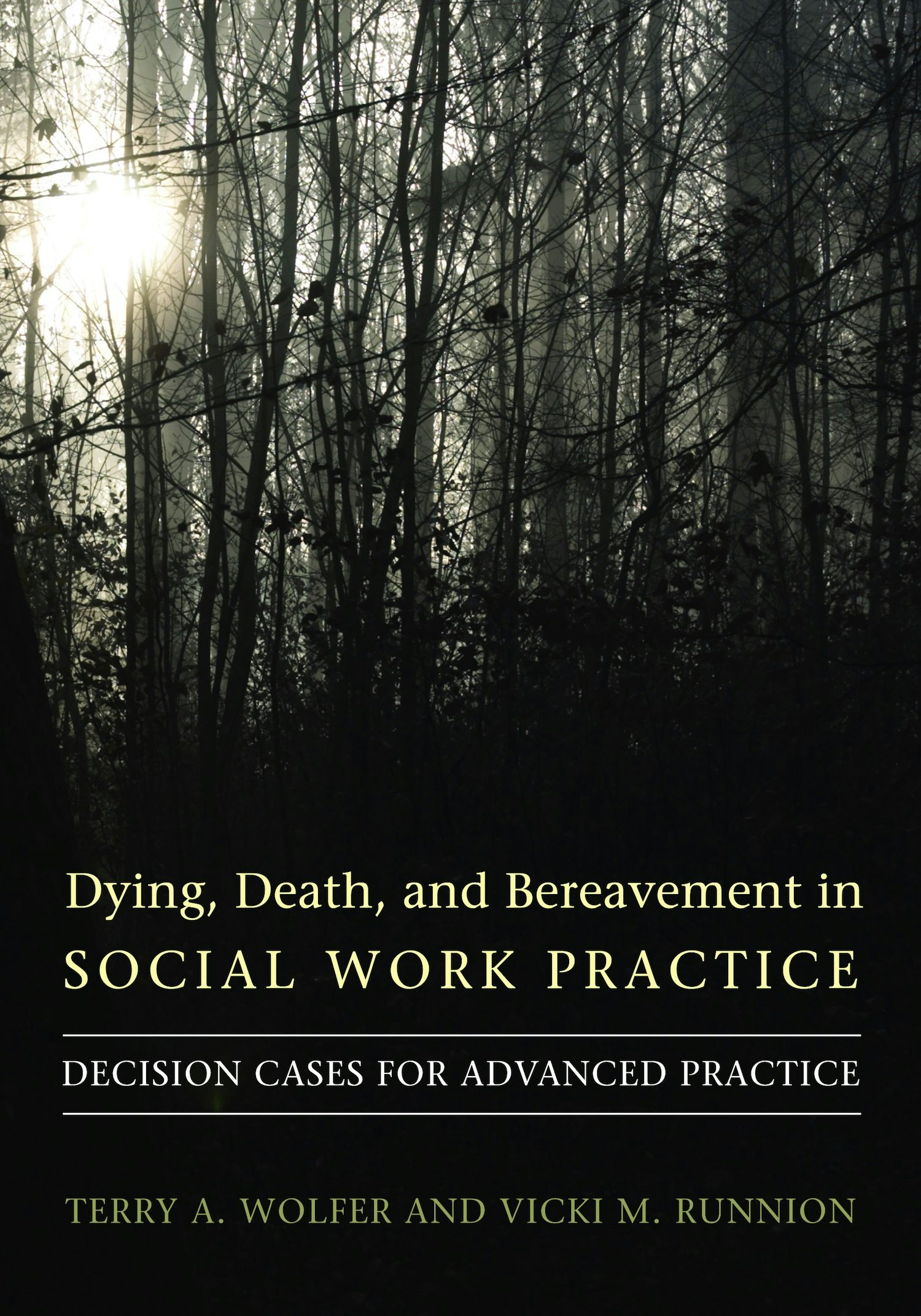 Book cover image for Dying, Death, and Bereavement in Social Work Practice ISBN: 9780231141741