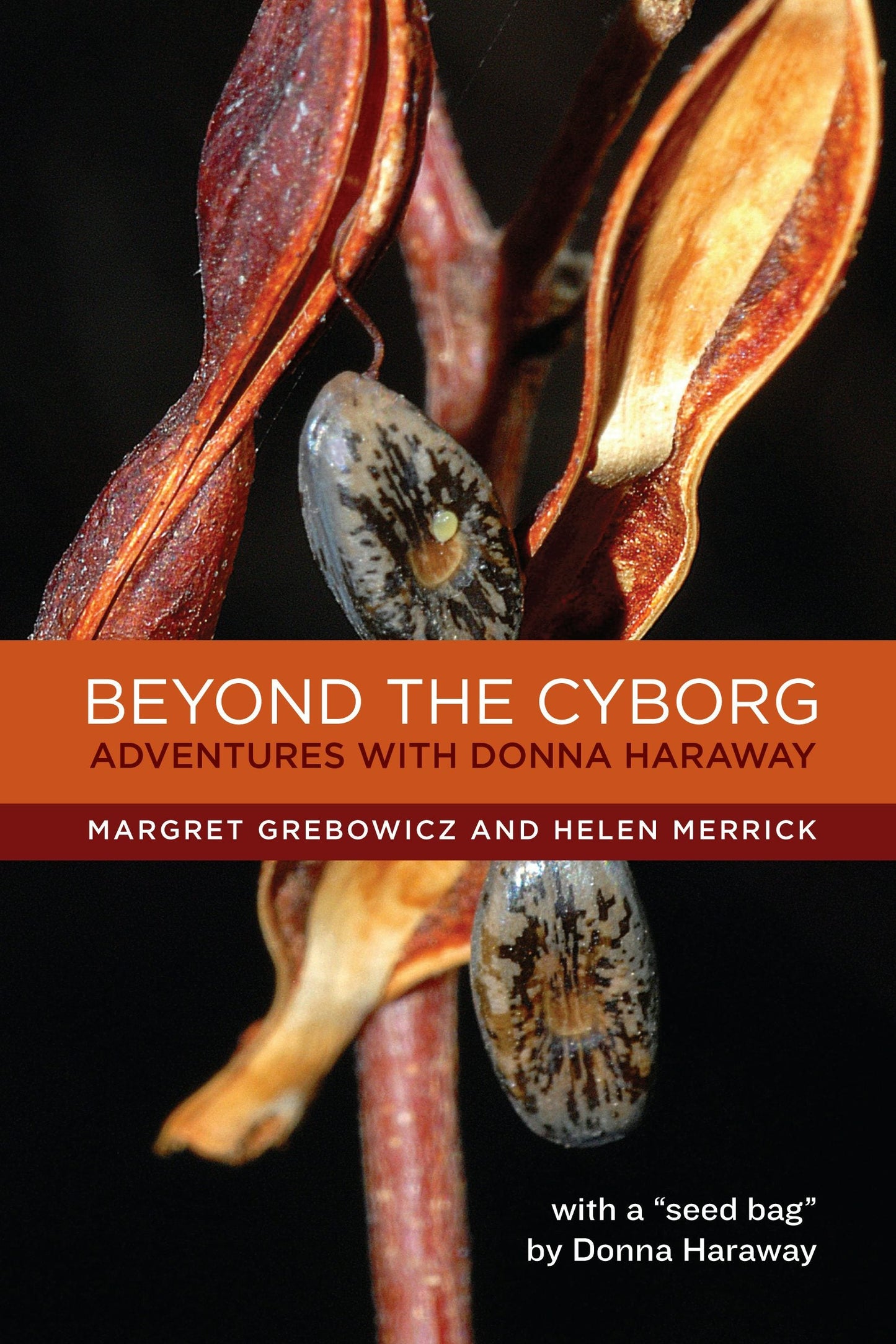 Book cover image for Beyond the Cyborg ISBN: 9780231149280