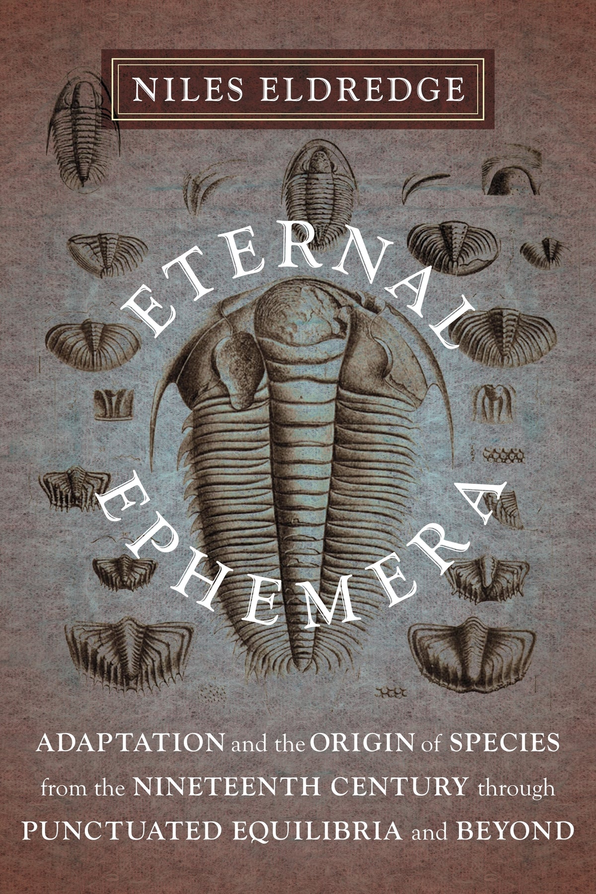 Cover image for Eternal Ephemera ISBN 9780231153171