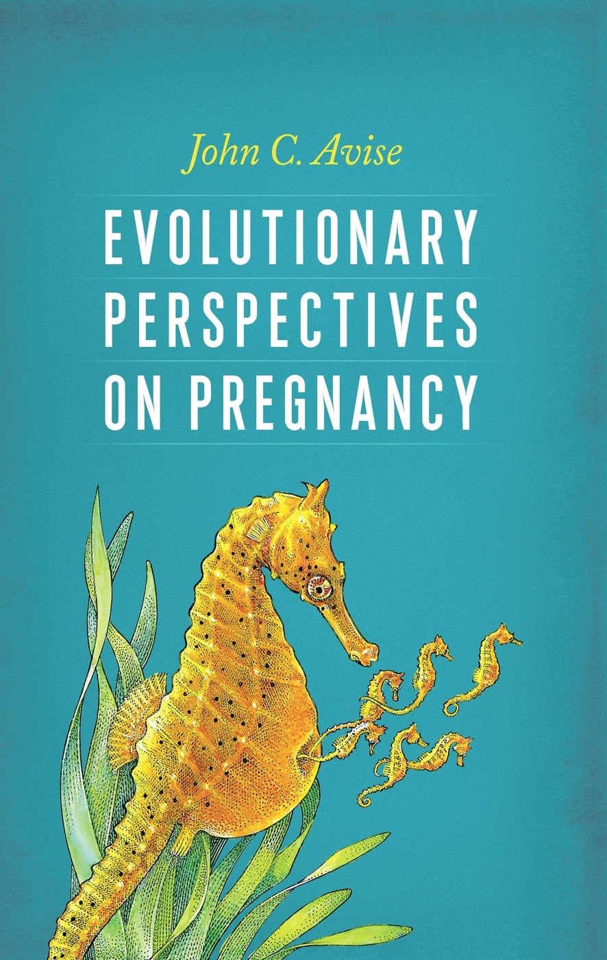 Book cover image for Evolutionary Perspectives on Pregnancy ISBN: 9780231160605