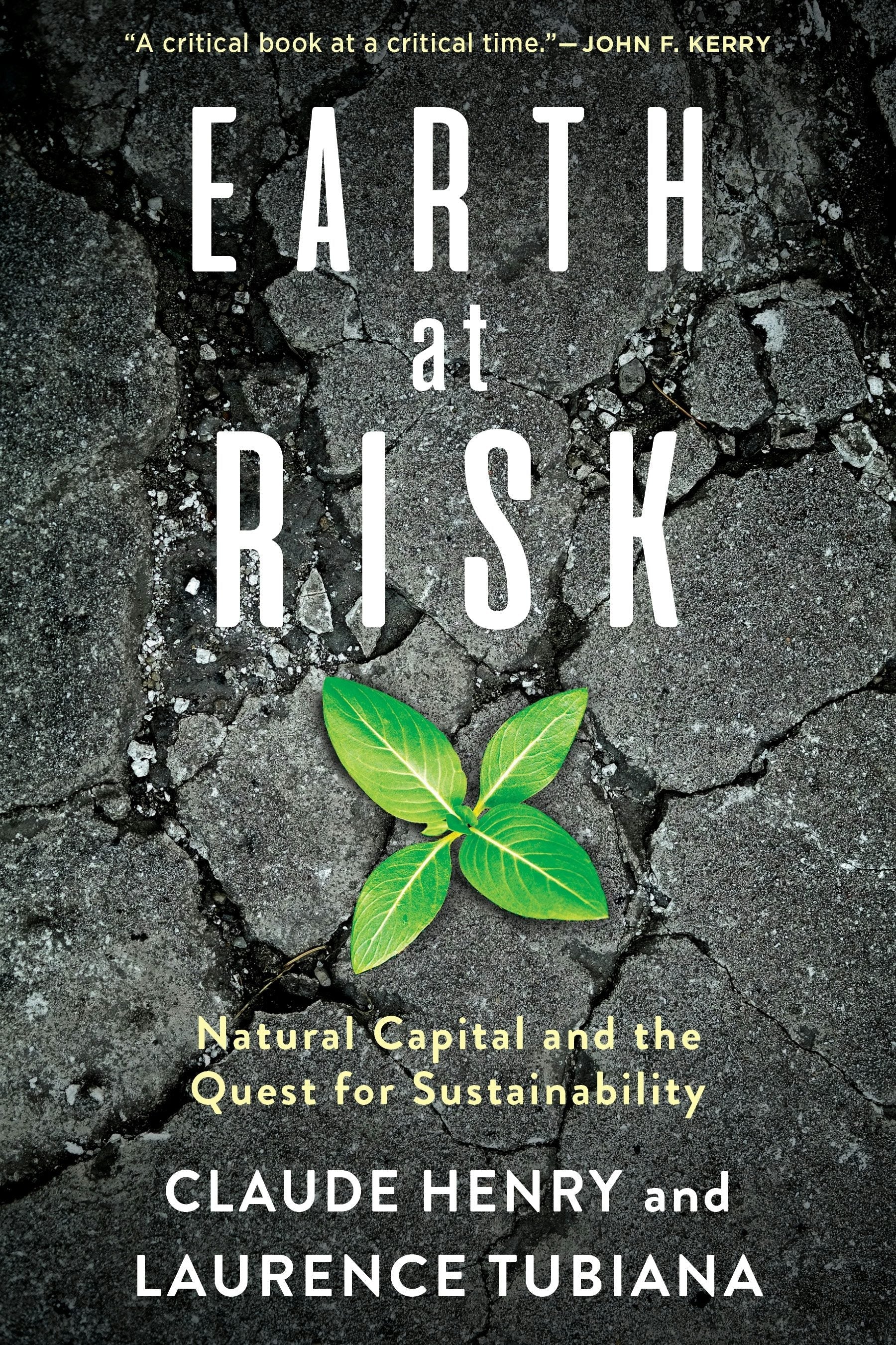 Book cover image for Earth at Risk ISBN: 9780231162524