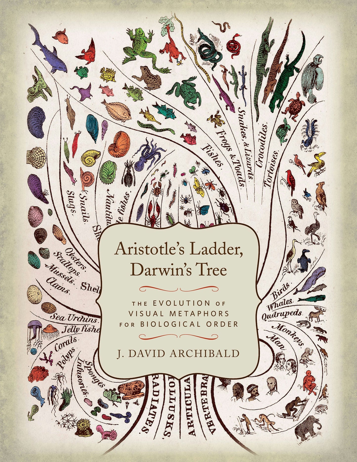 Book cover image for Aristotle's Ladder, Darwin's Tree ISBN: 9780231164122