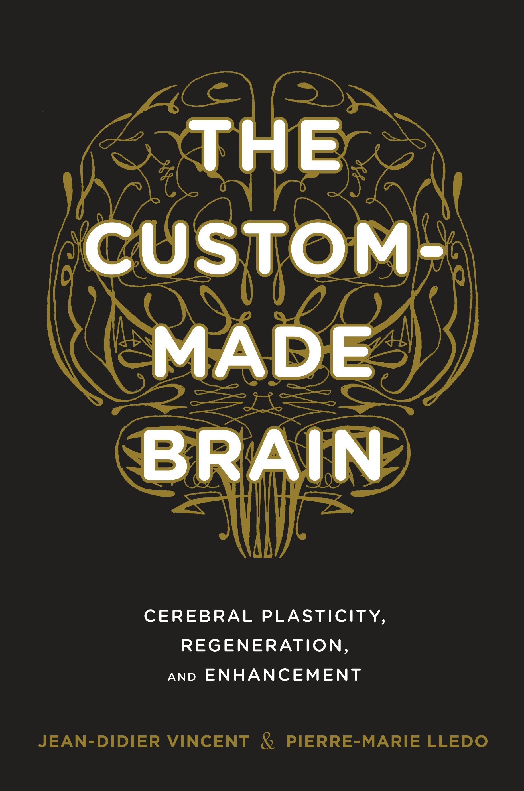 Book cover image for The Custom-Made Brain ISBN: 9780231164504