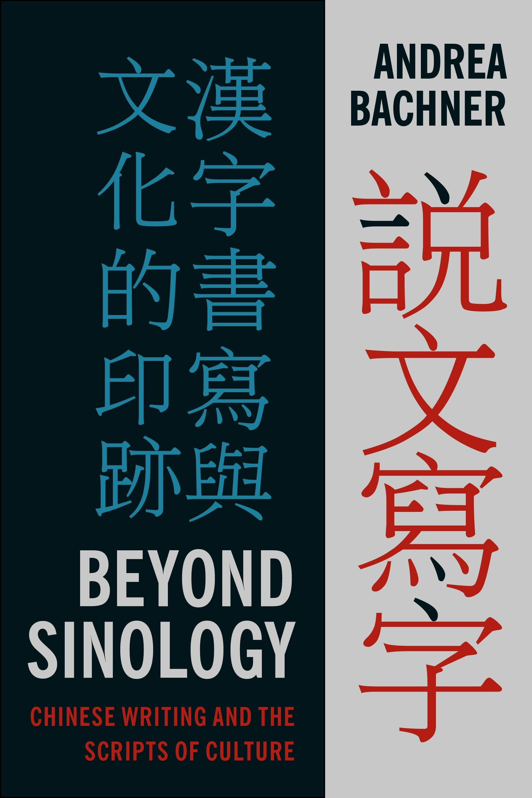 Book cover image for Beyond Sinology ISBN: 9780231164528