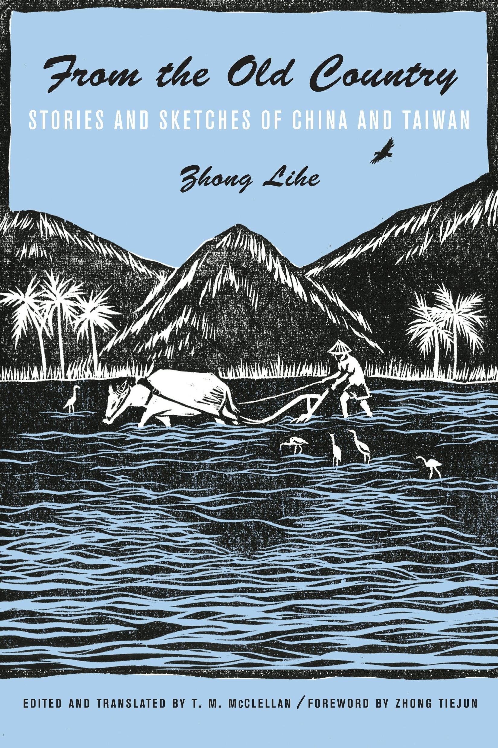 Book cover image for From the Old Country ISBN: 9780231166317