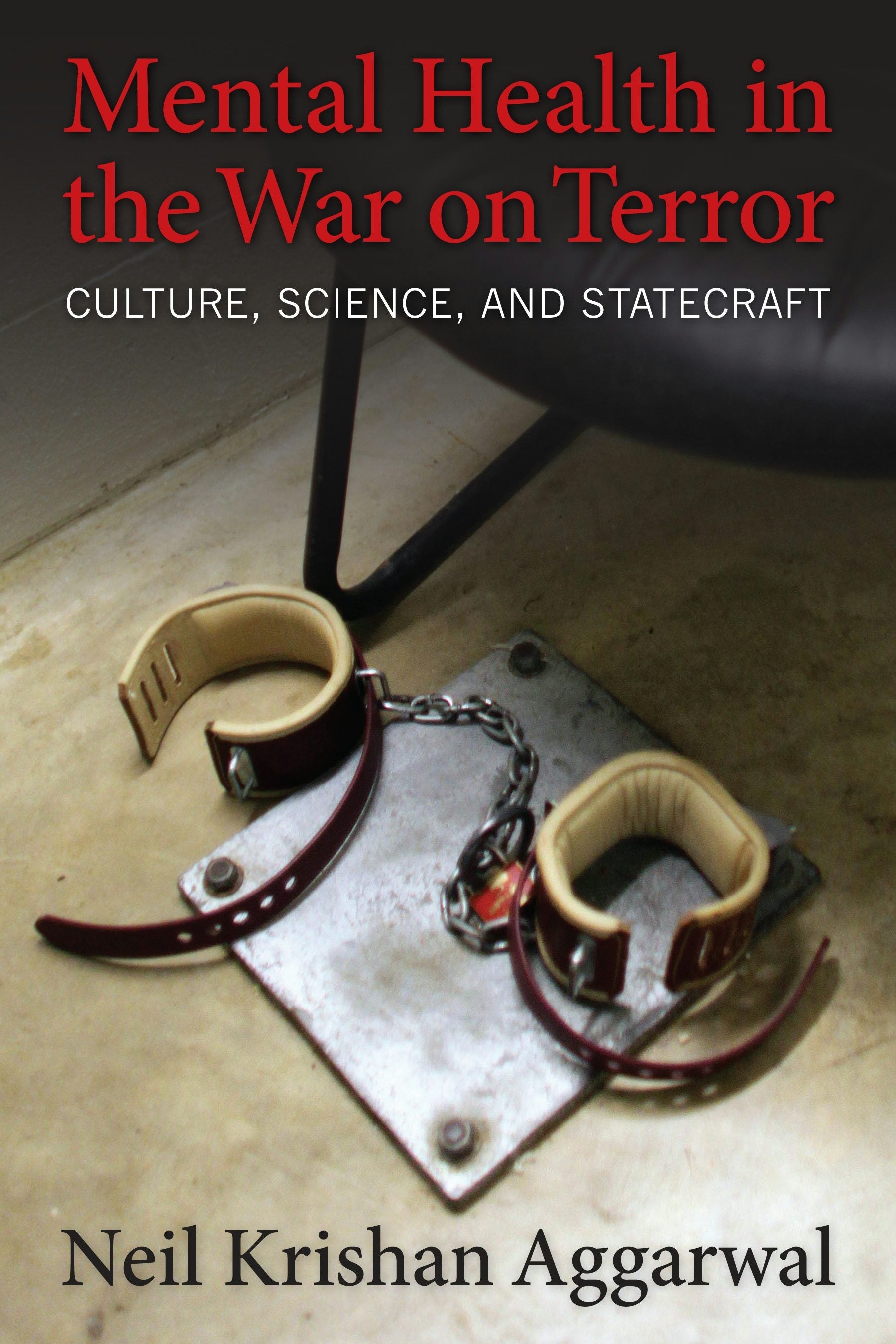 Book cover image for Mental Health in the War on Terror ISBN: 9780231166645