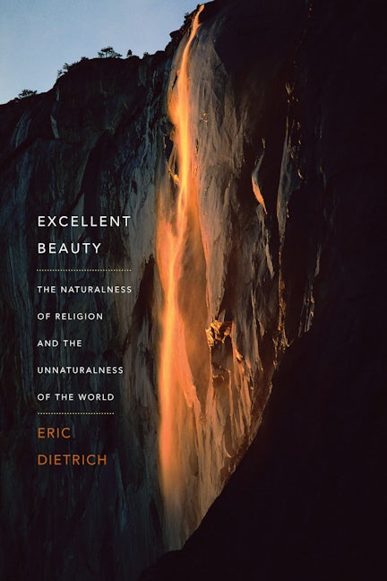 Book cover image for Excellent Beauty ISBN: 9780231171021
