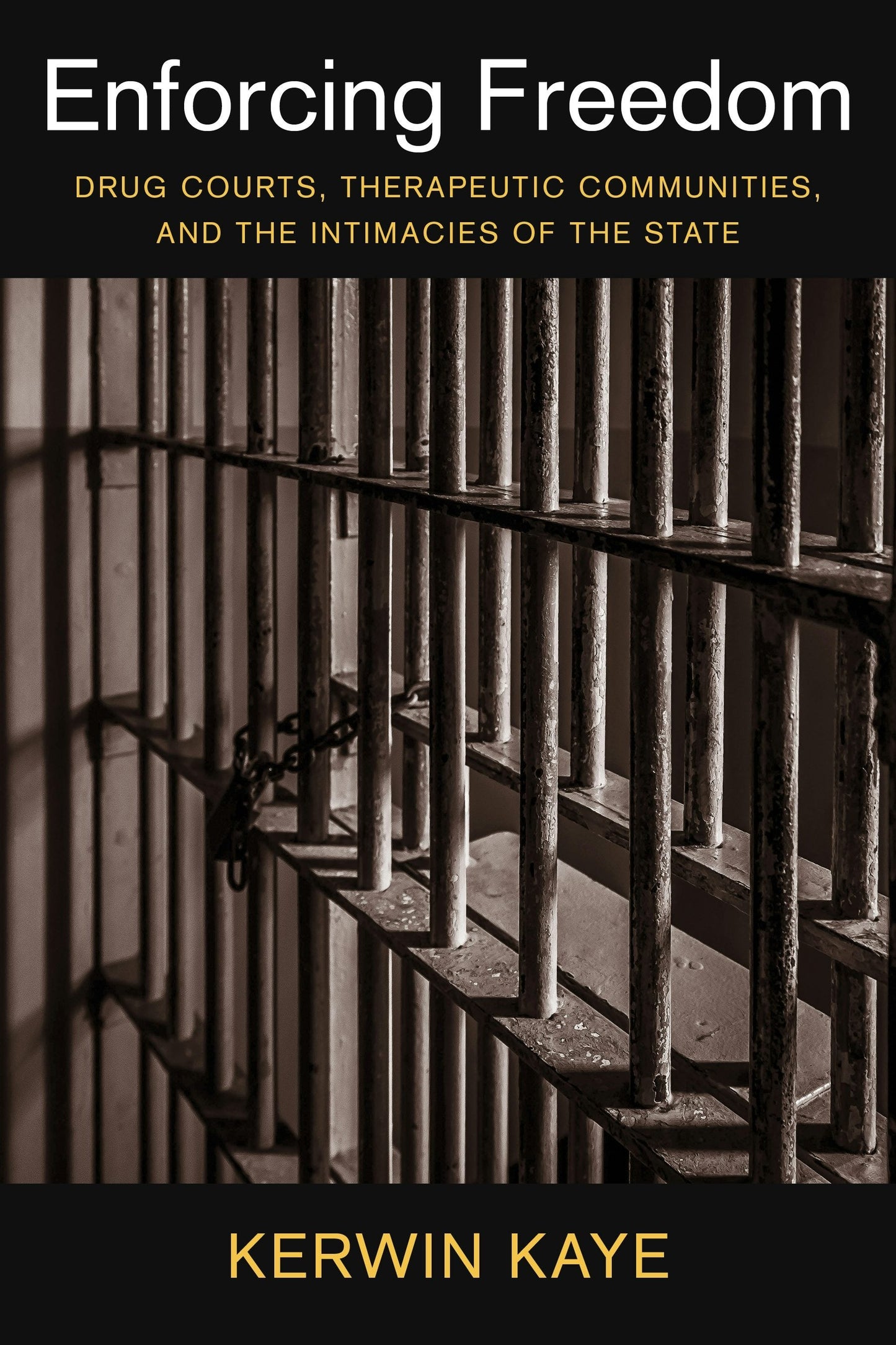 Book cover image for Enforcing Freedom ISBN: 9780231172899