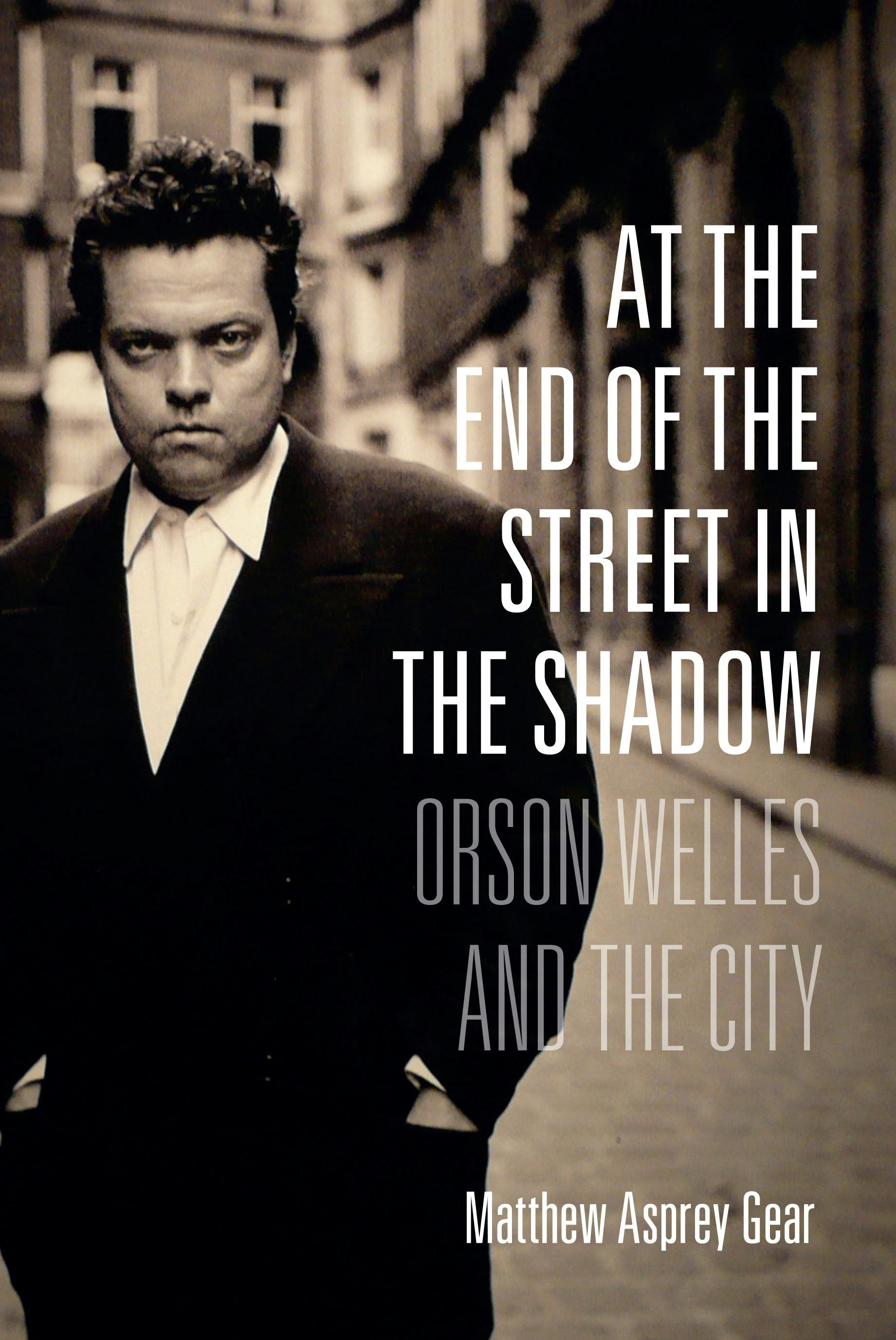 Book cover image for At the End of the Street in the Shadow ISBN: 9780231173414