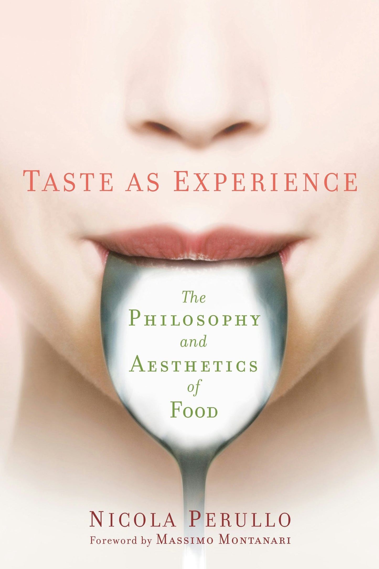 Book cover image for Taste as Experience ISBN: 9780231173483