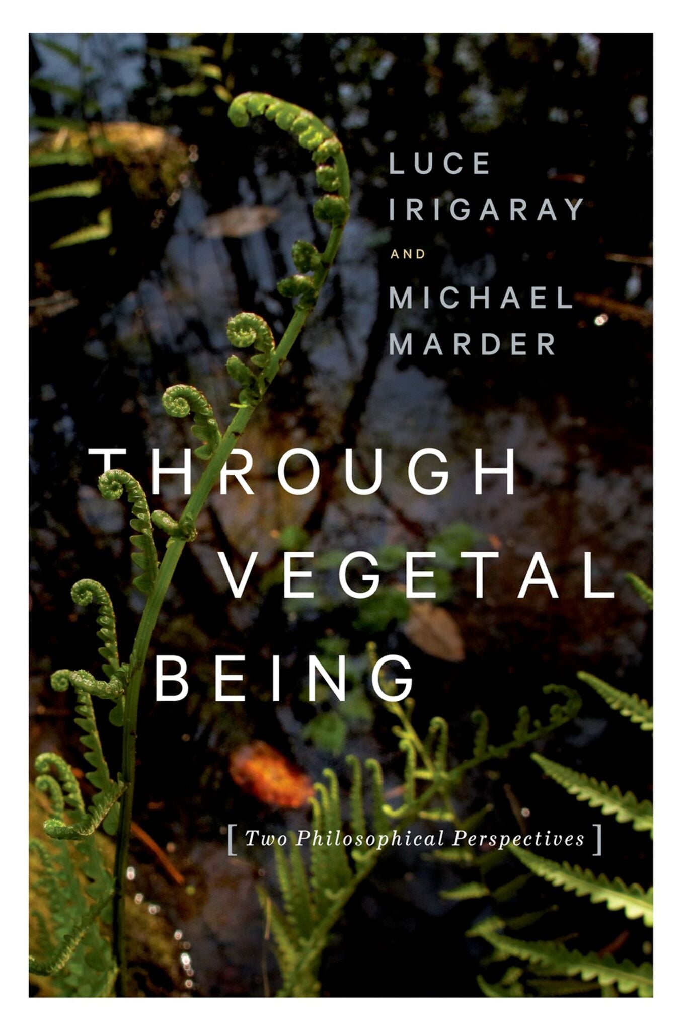 Cover image for Through Vegetal Being ISBN 9780231173865