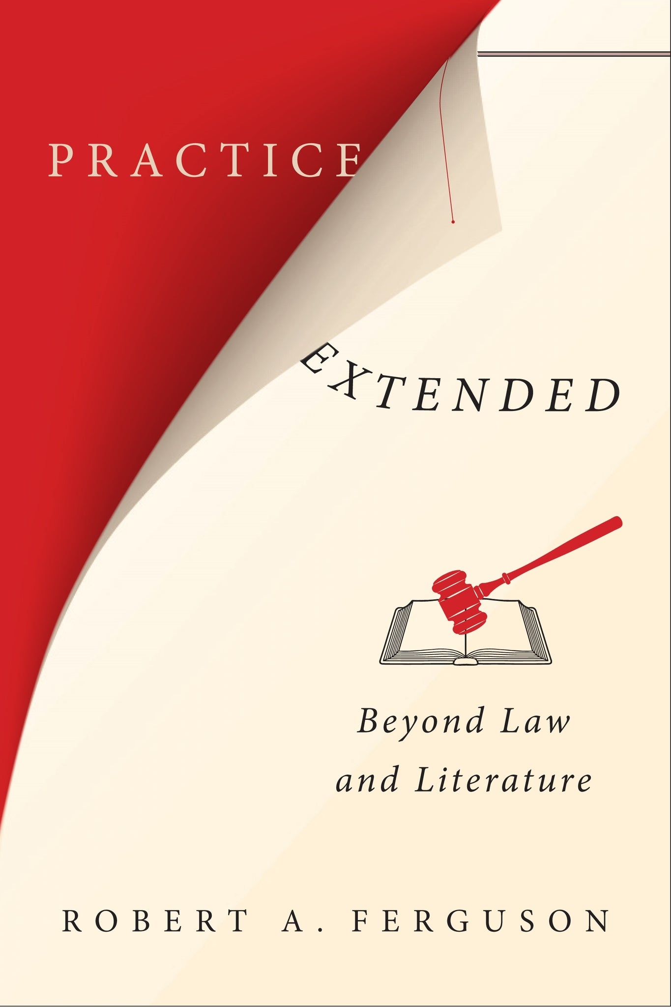 Cover image for Practice Extended ISBN 9780231175364