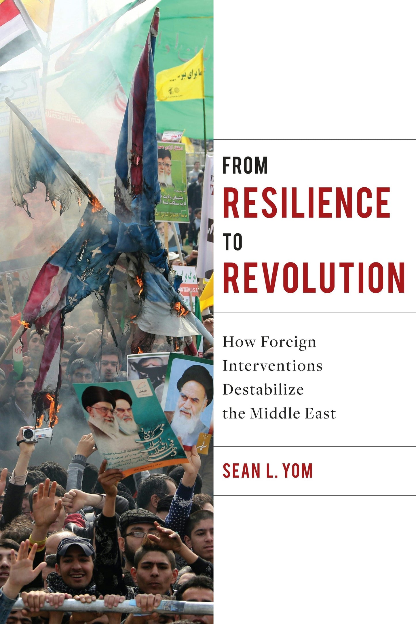 Book cover image for From Resilience to Revolution ISBN: 9780231175647