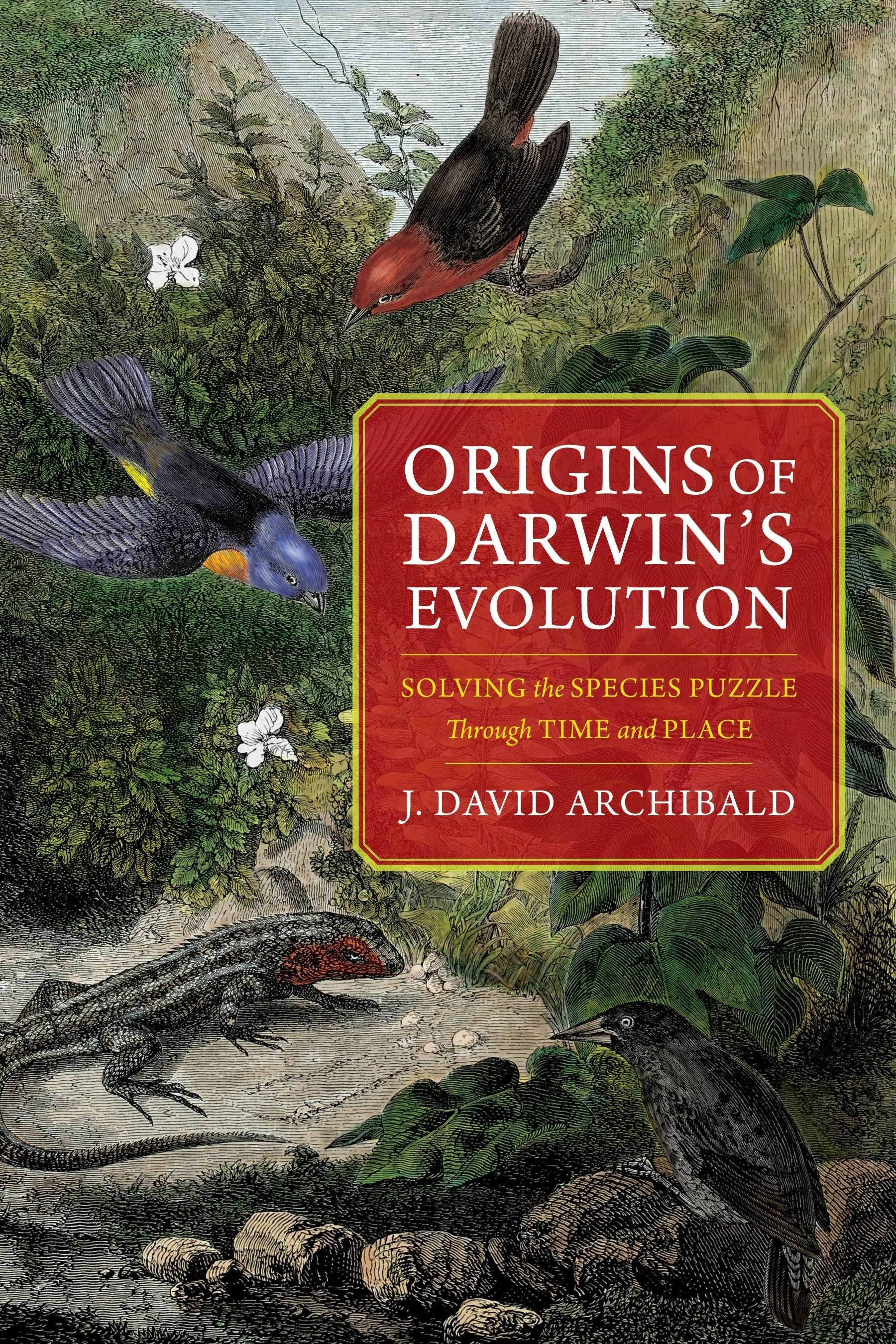 Book cover image for Origins of Darwin's Evolution ISBN: 9780231176842