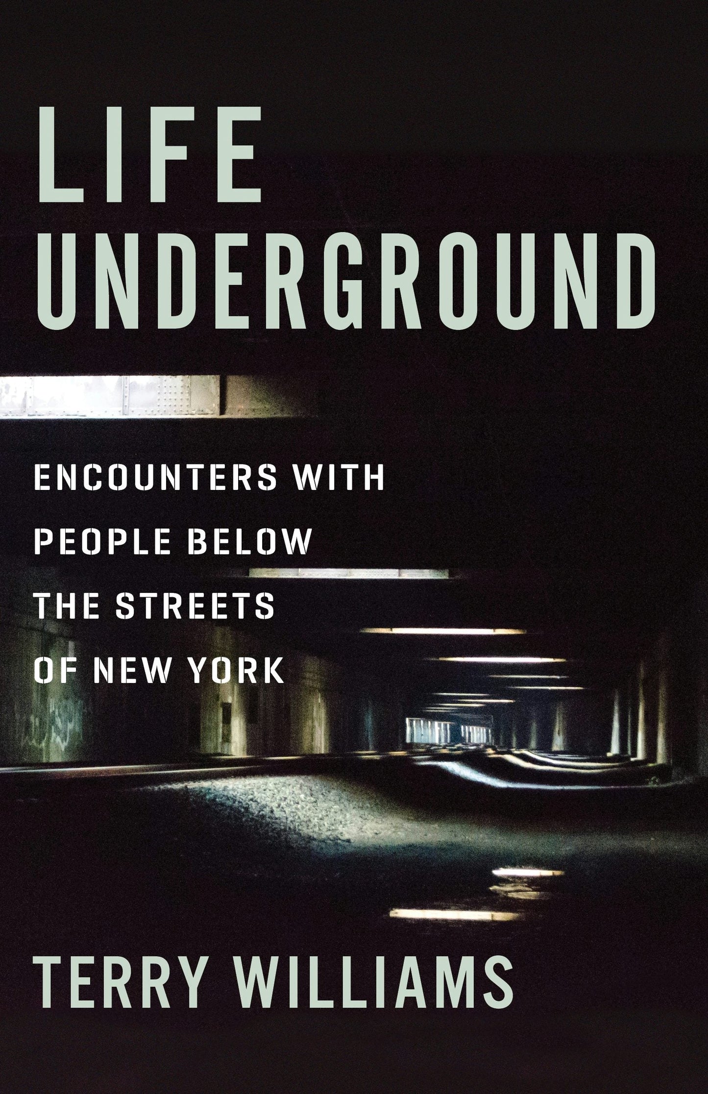 Book cover image for Life Underground ISBN: 9780231177931