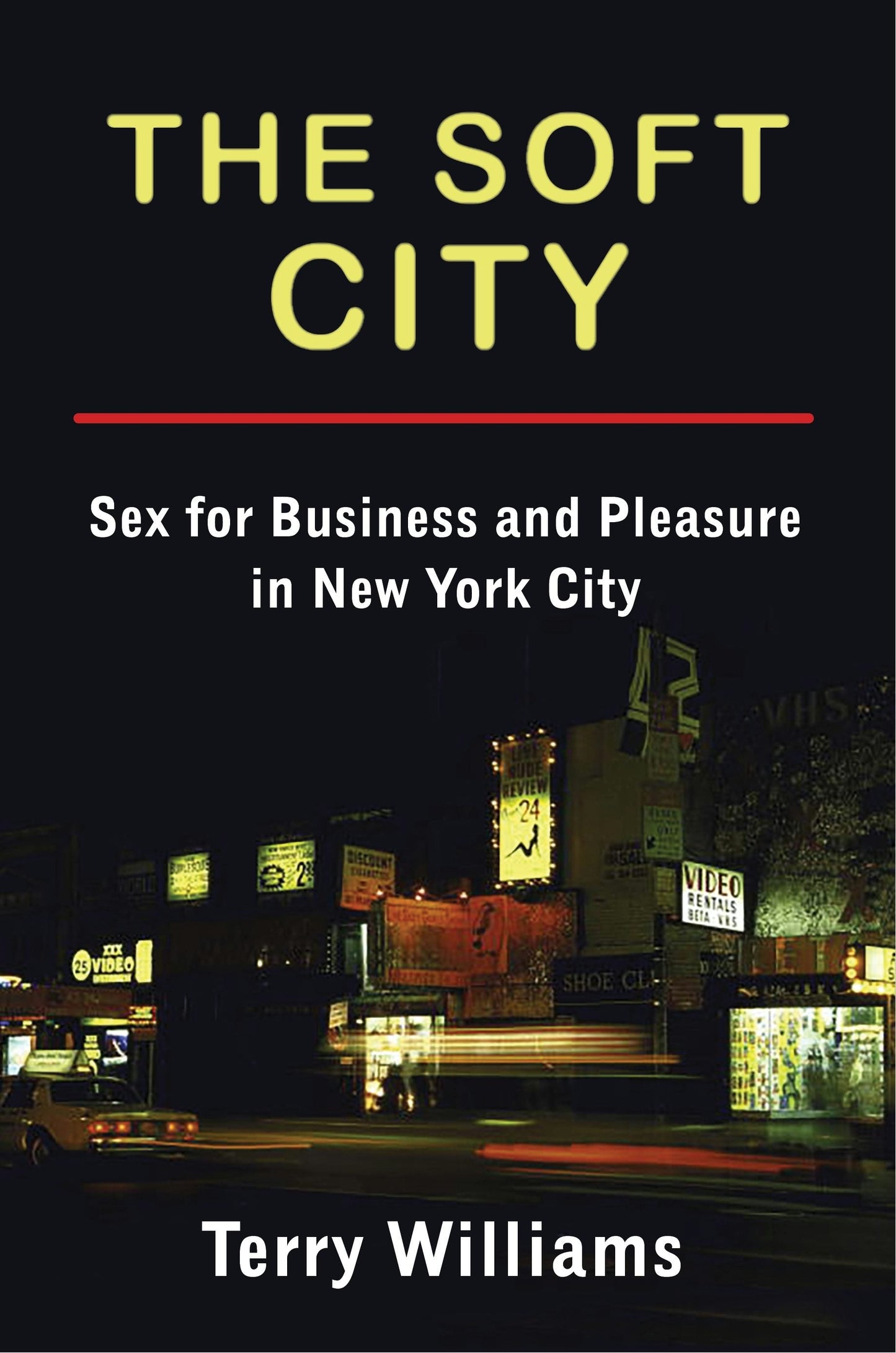Book cover image for The Soft City ISBN: 9780231177948