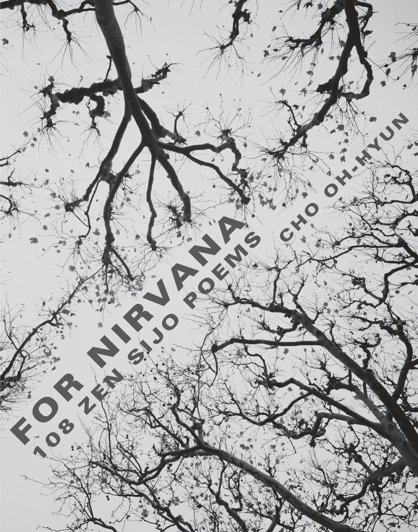 Book cover image for For Nirvana ISBN: 9780231179904