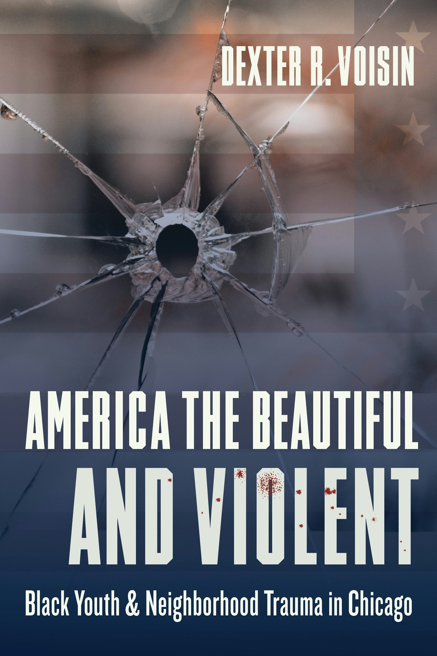Book cover image for America the Beautiful and Violent ISBN: 9780231184403