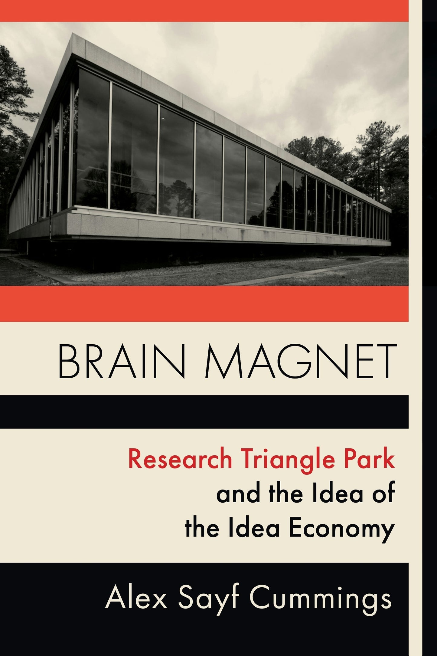 Book cover image for Brain Magnet ISBN: 9780231184908