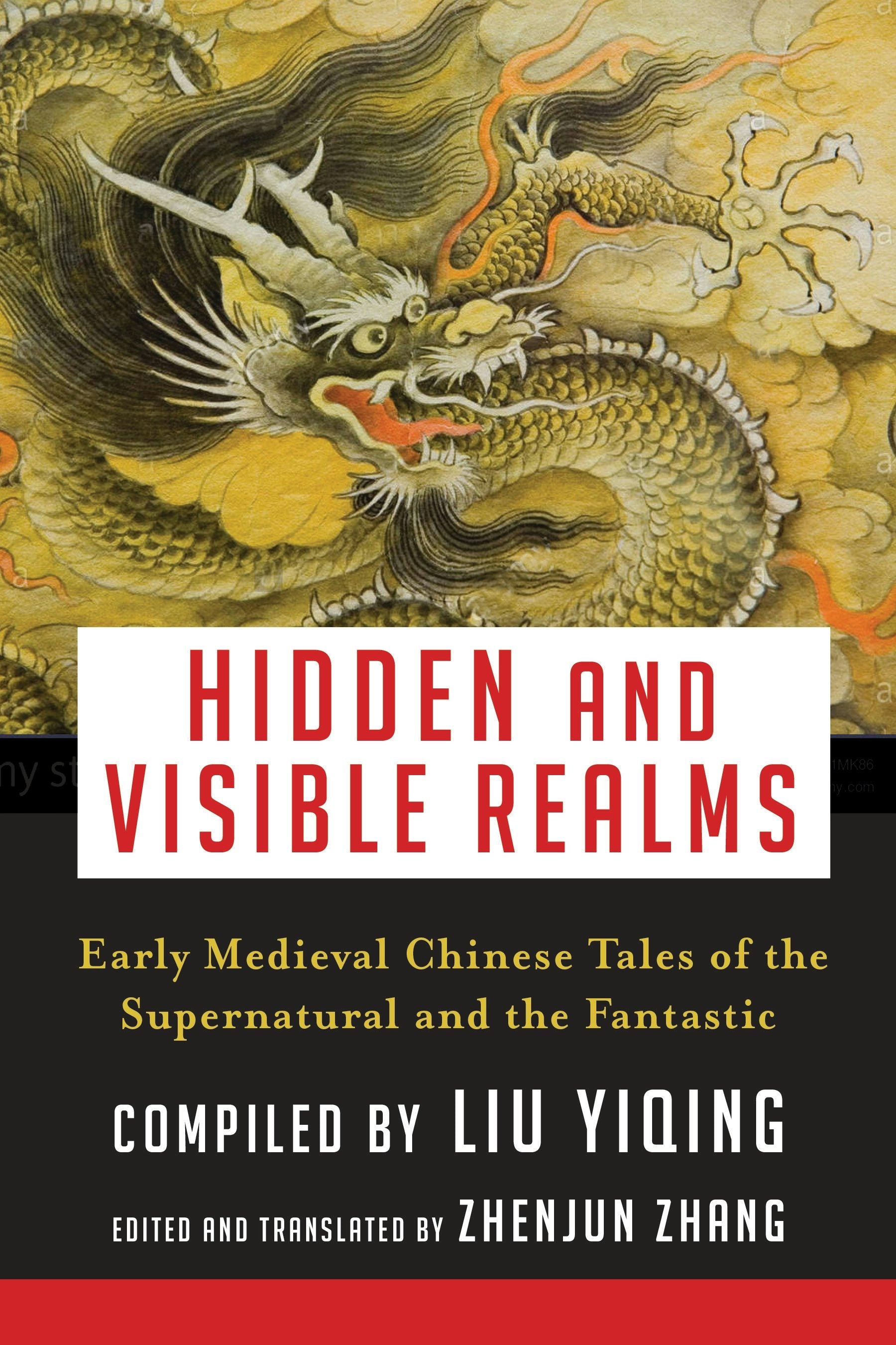 Book cover image for Hidden and Visible Realms ISBN: 9780231187169
