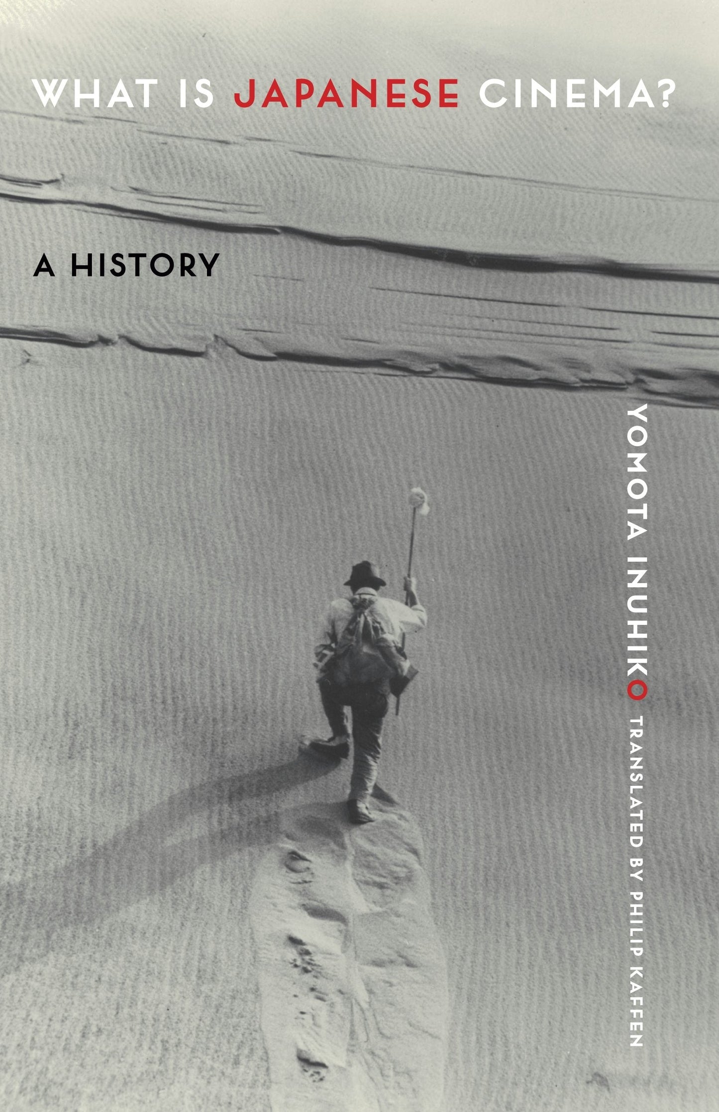 Book cover image for What Is Japanese Cinema? ISBN: 9780231191623