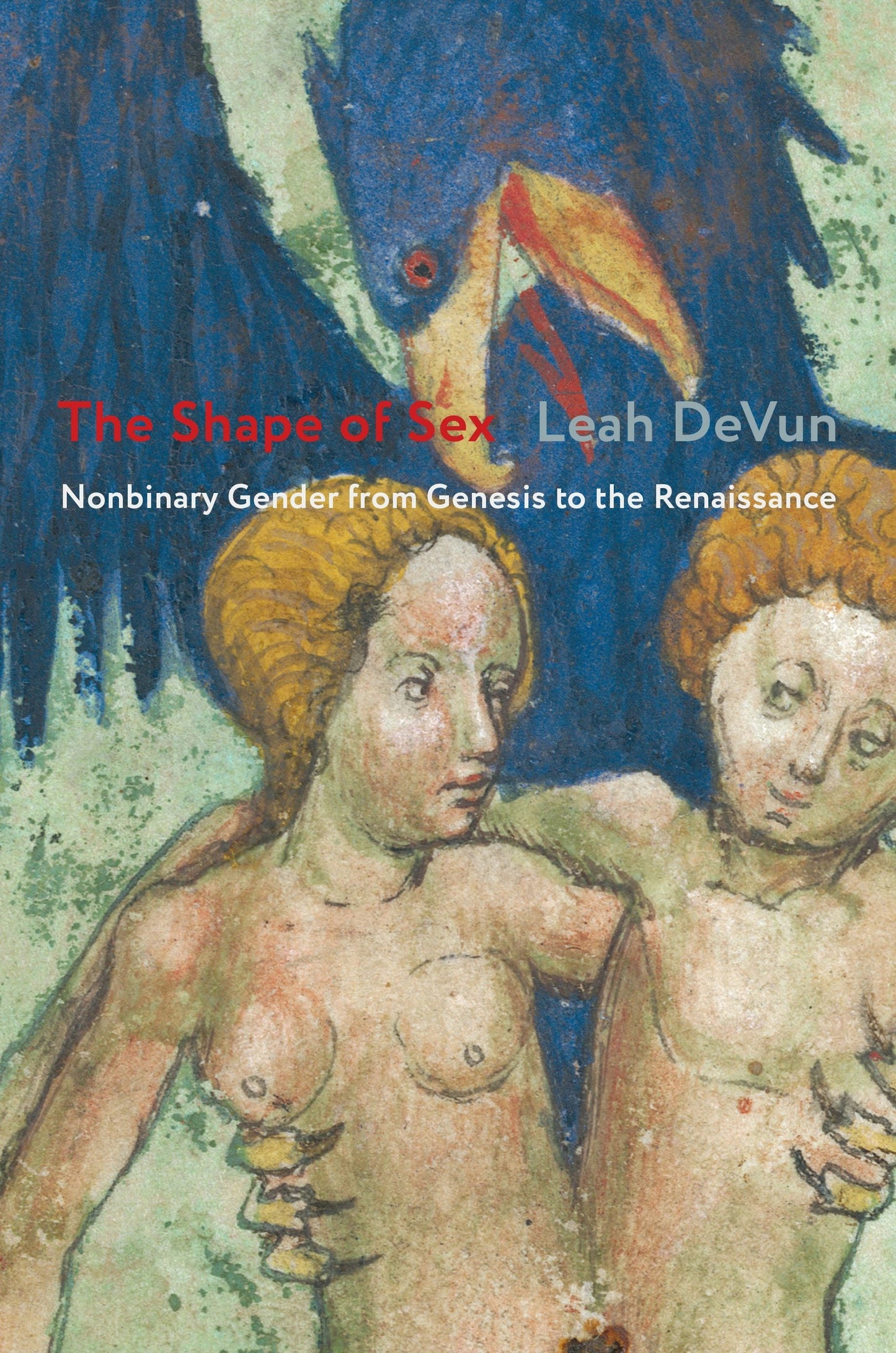 Book cover image for The Shape of Sex ISBN: 9780231195508