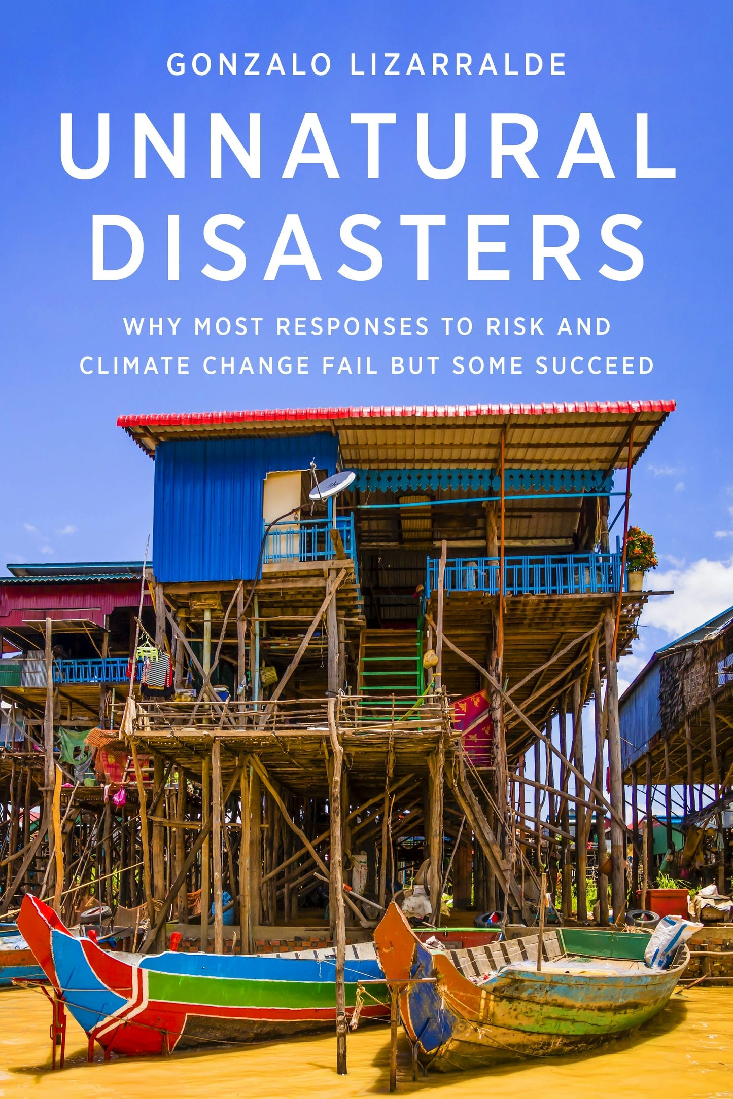 Book cover image for Unnatural Disasters ISBN: 9780231198103