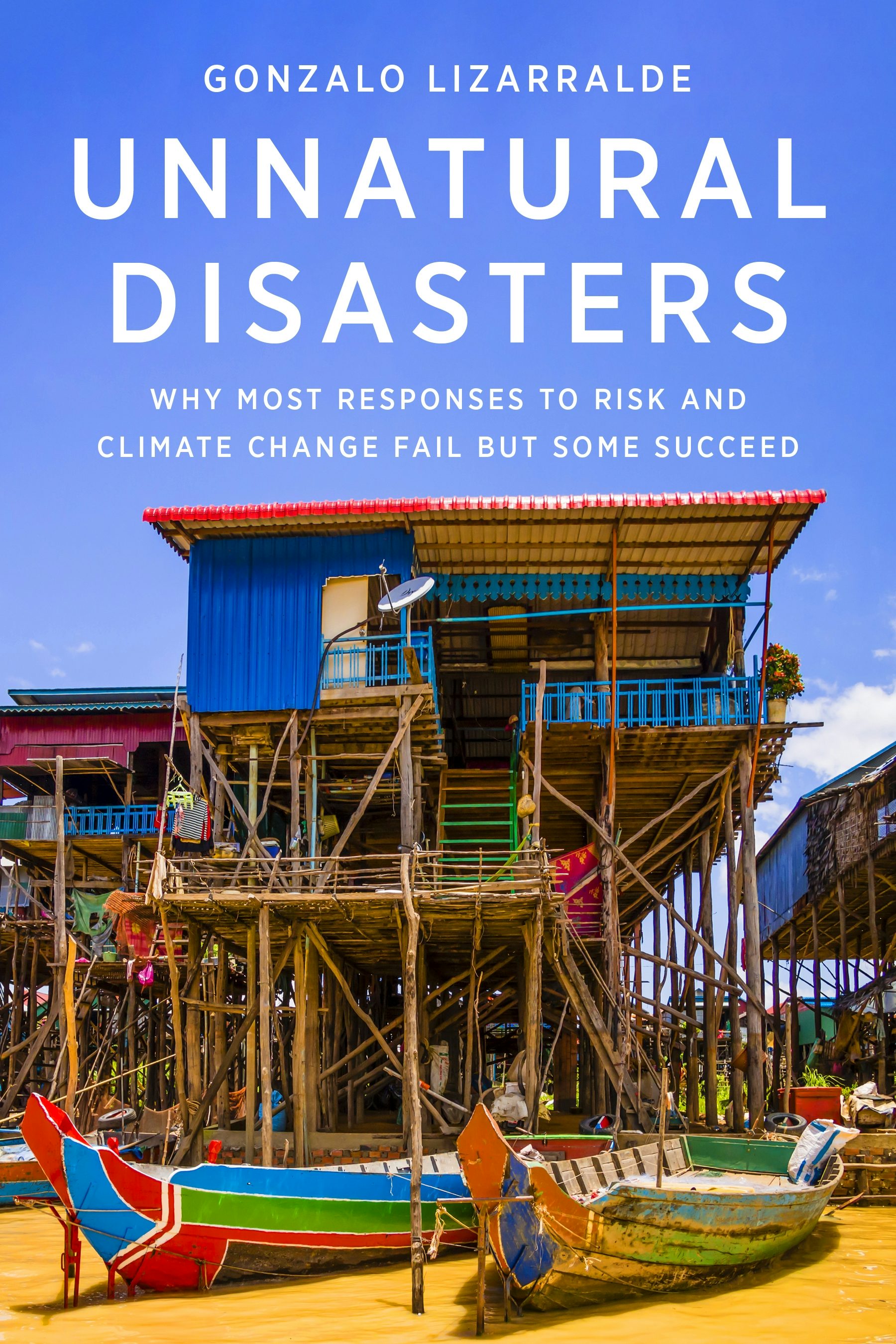 Book cover image for Unnatural Disasters ISBN: 9780231198103