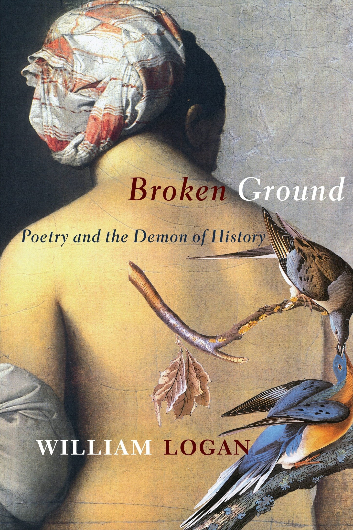 Book cover image for Broken Ground ISBN: 9780231201063