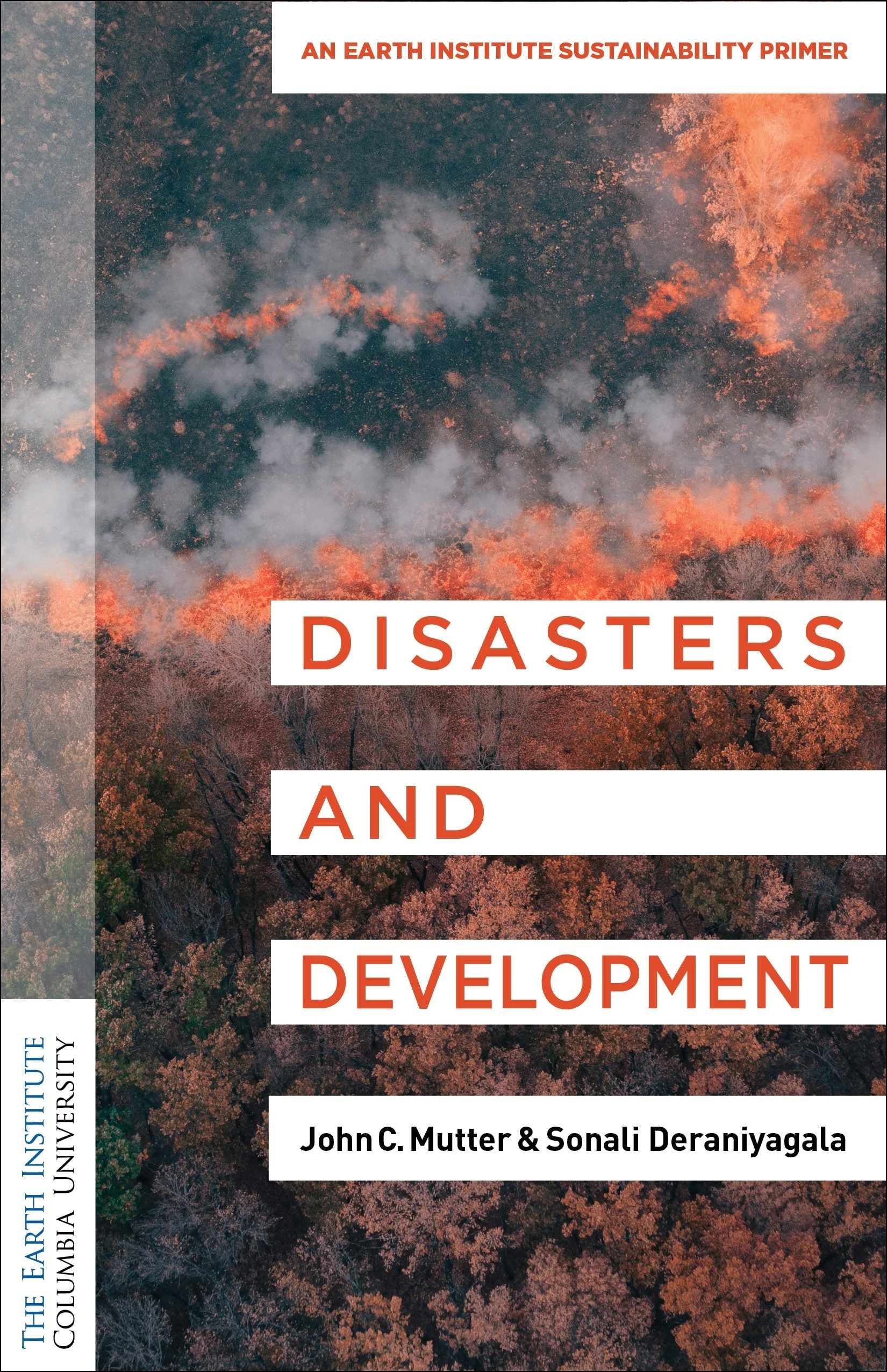 Book cover image for Disasters and Development ISBN: 9780231206365