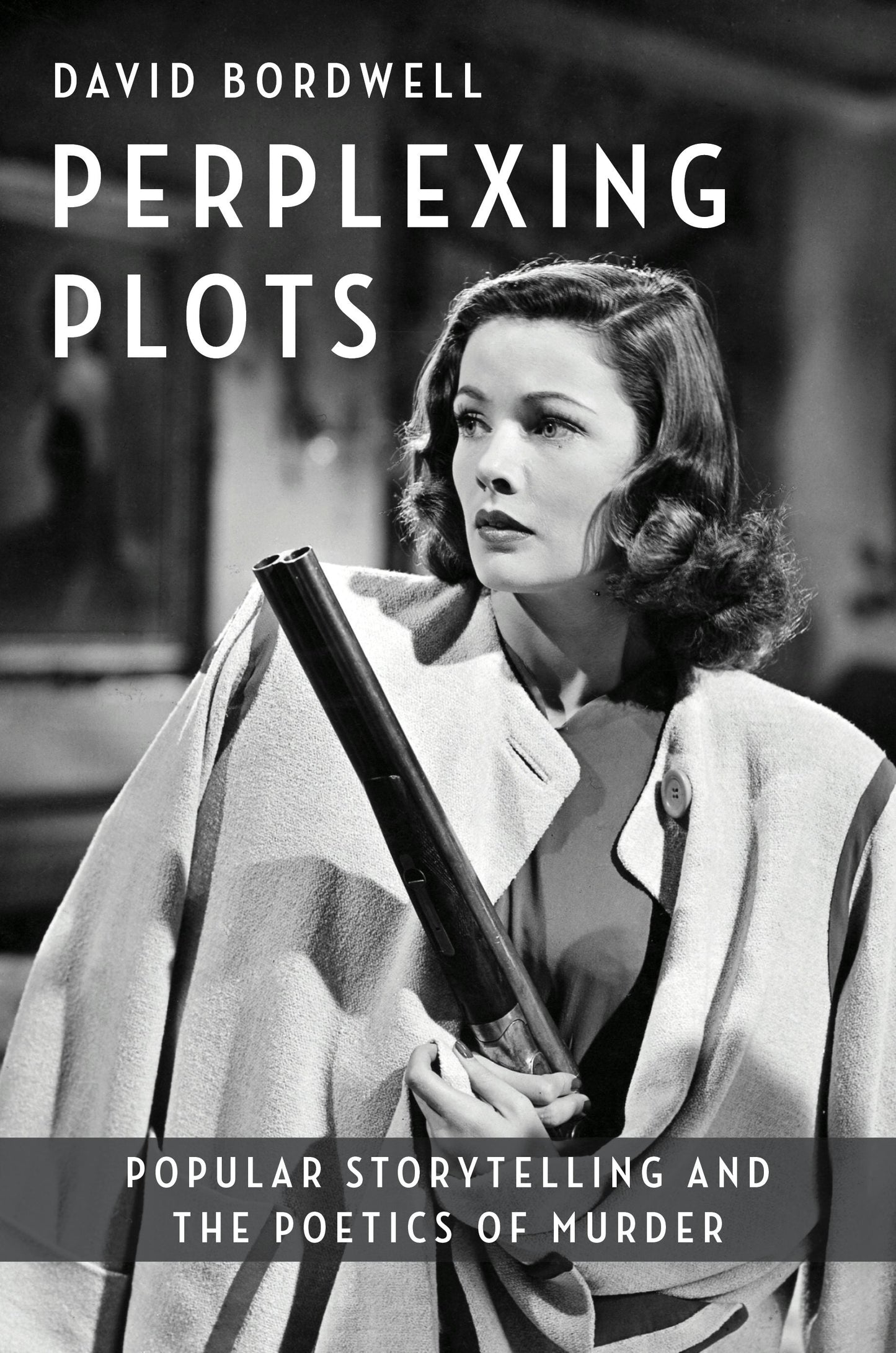 Book cover image for Perplexing Plots ISBN: 9780231206587