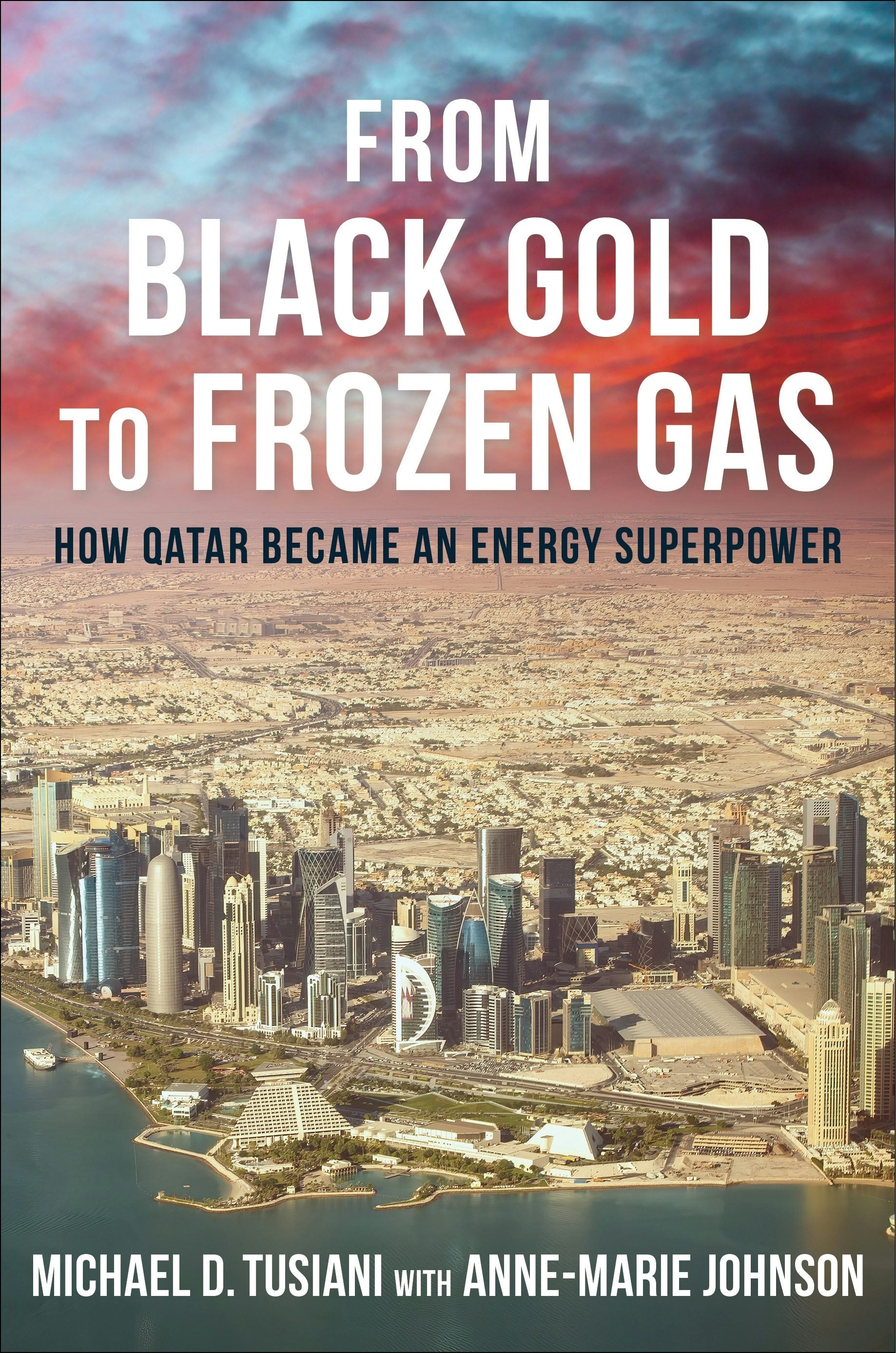 Book cover image for From Black Gold to Frozen Gas ISBN: 9780231210867