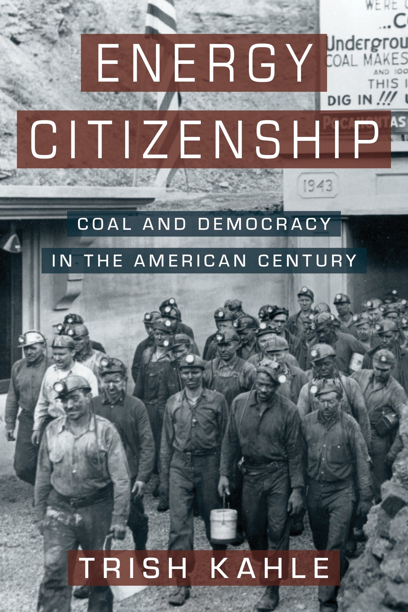 Cover image for Energy Citizenship ISBN 9780231215442