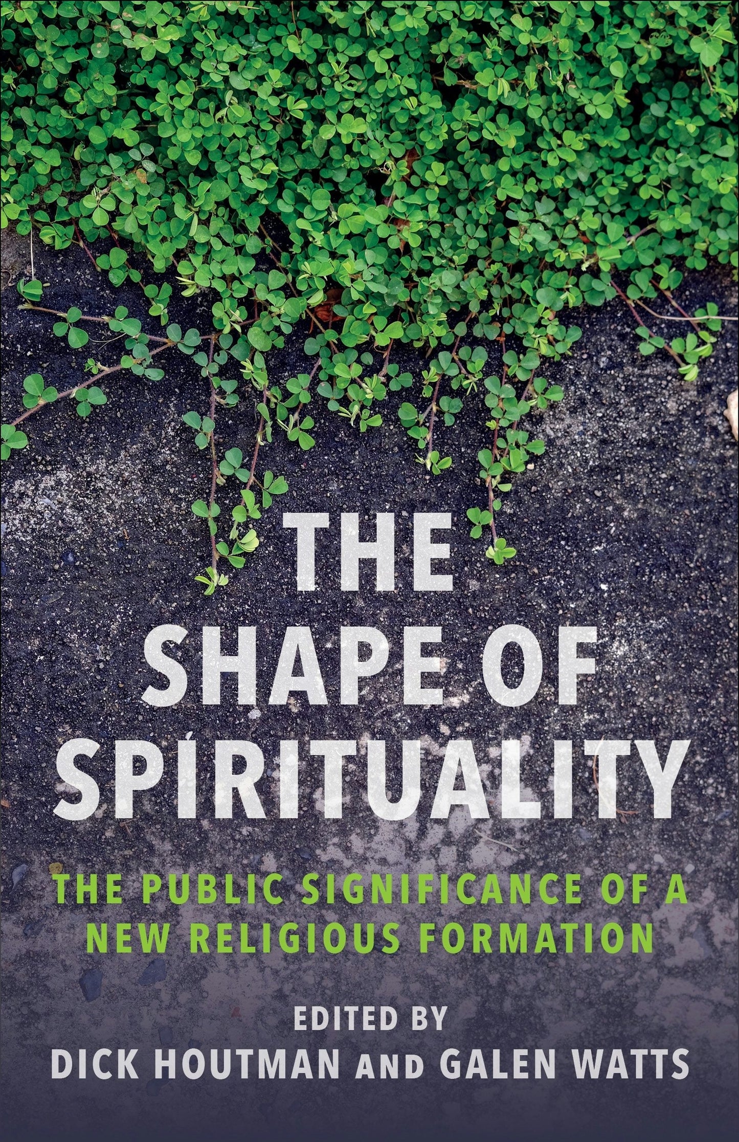 Book cover image for The Shape of Spirituality ISBN: 9780231216845