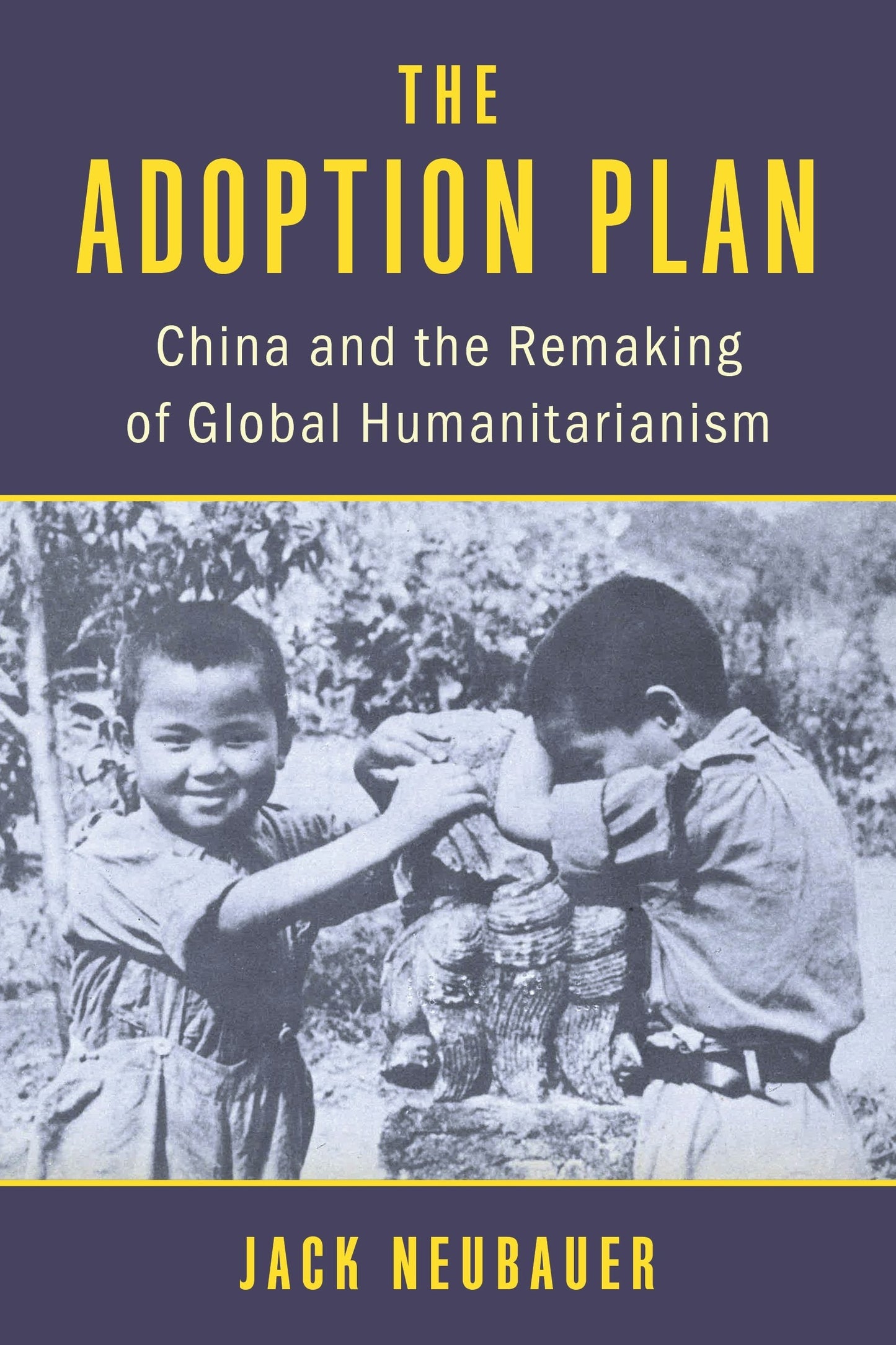 Book cover image for The Adoption Plan ISBN: 9780231218023