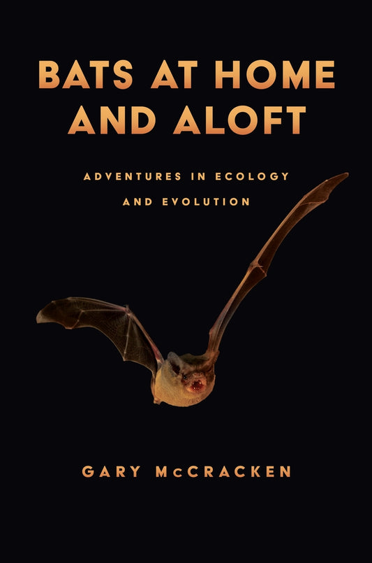 Bats at Home and Aloft