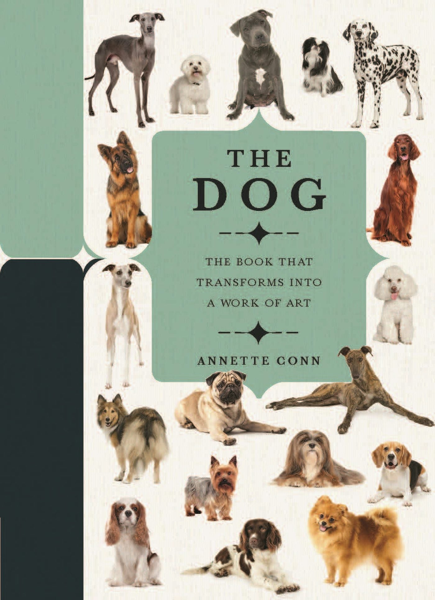 Book cover image for Paperscapes: The Dog ISBN: 9780233005836