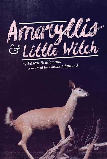 Book cover image for Amaryllis & Little Witch ISBN: 9780369101143